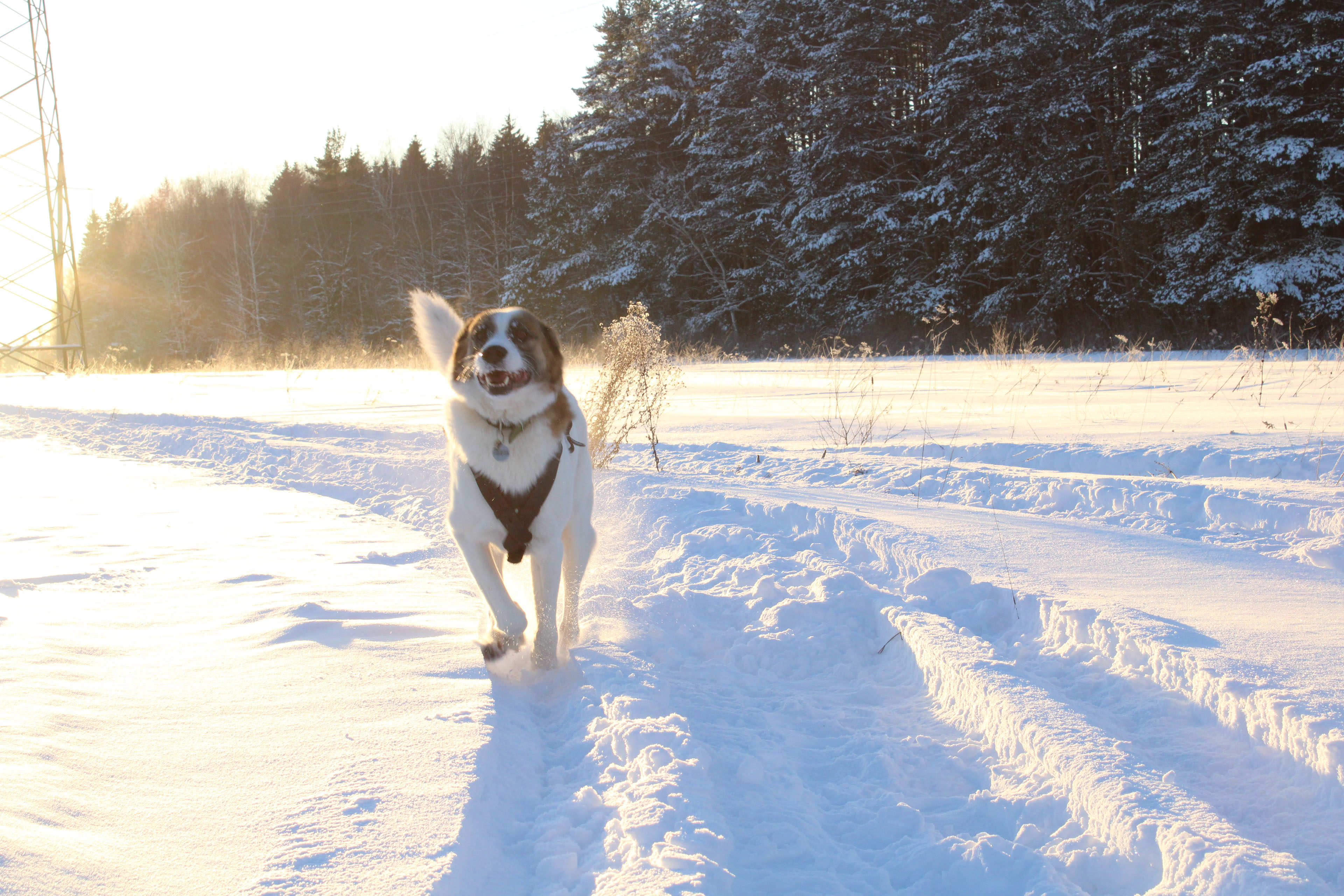 Winter Photoshoot, 17th_kadr — Изображение №16 — Иллюстрация, Графика на Dprofile