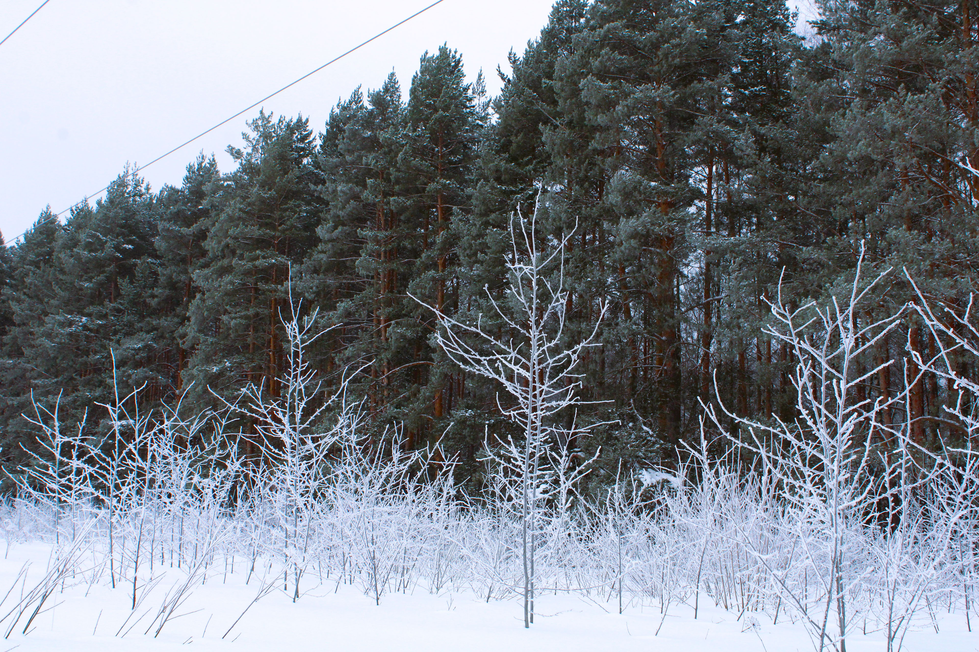 Winter Photoshoot, 17th_kadr — Изображение №19 — Иллюстрация, Графика на Dprofile