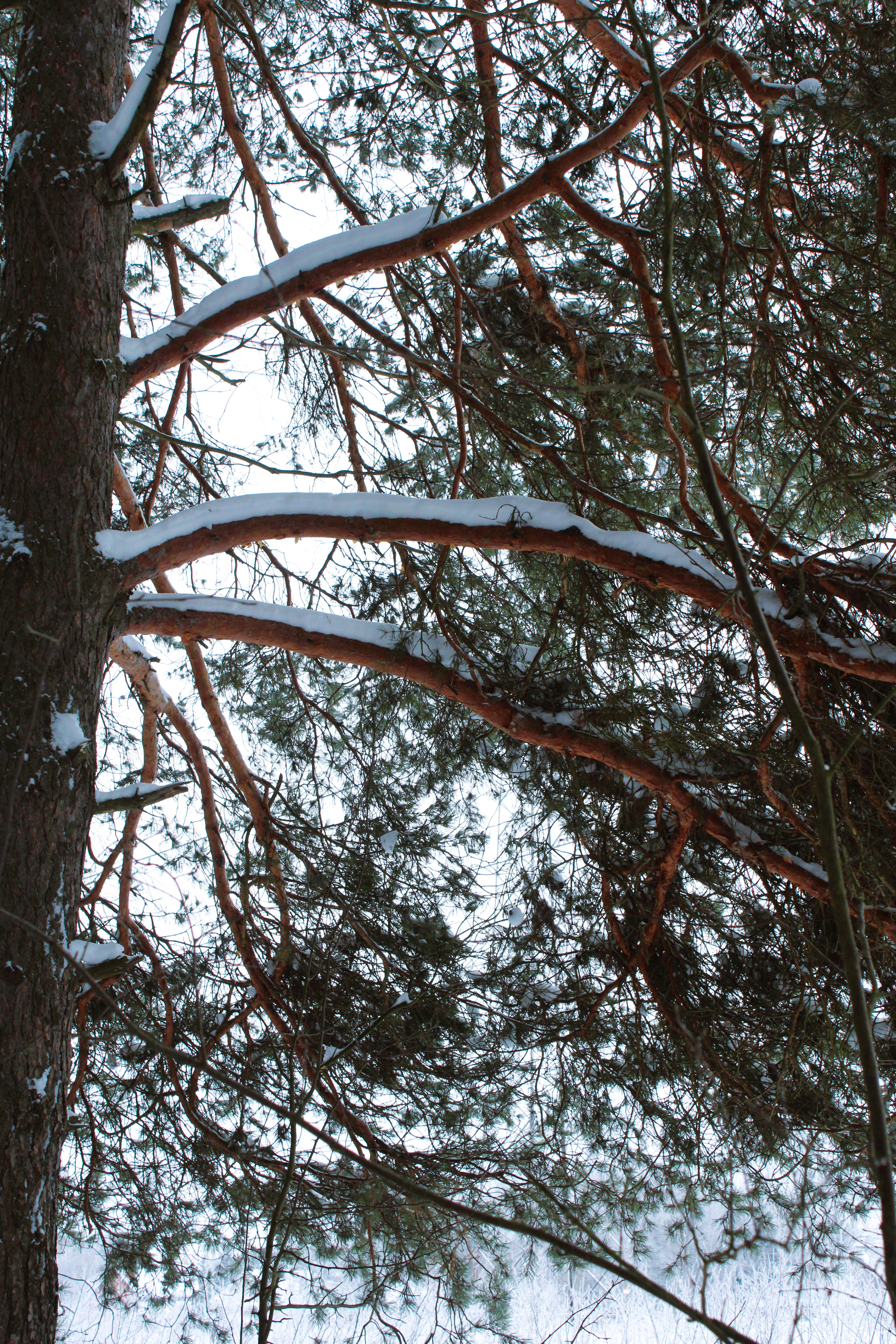 Winter Photoshoot, 17th_kadr — Изображение №48 — Иллюстрация, Графика на Dprofile