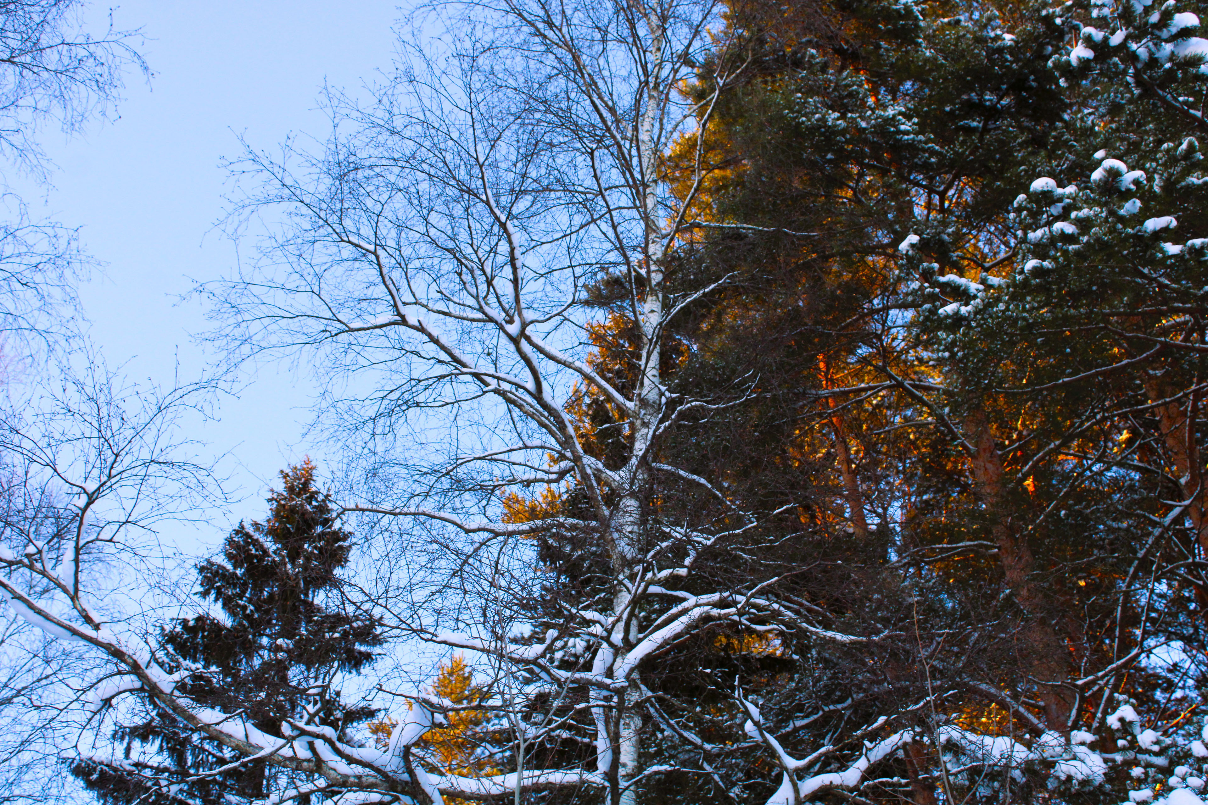 Winter Photoshoot, 17th_kadr — Изображение №7 — Иллюстрация, Графика на Dprofile