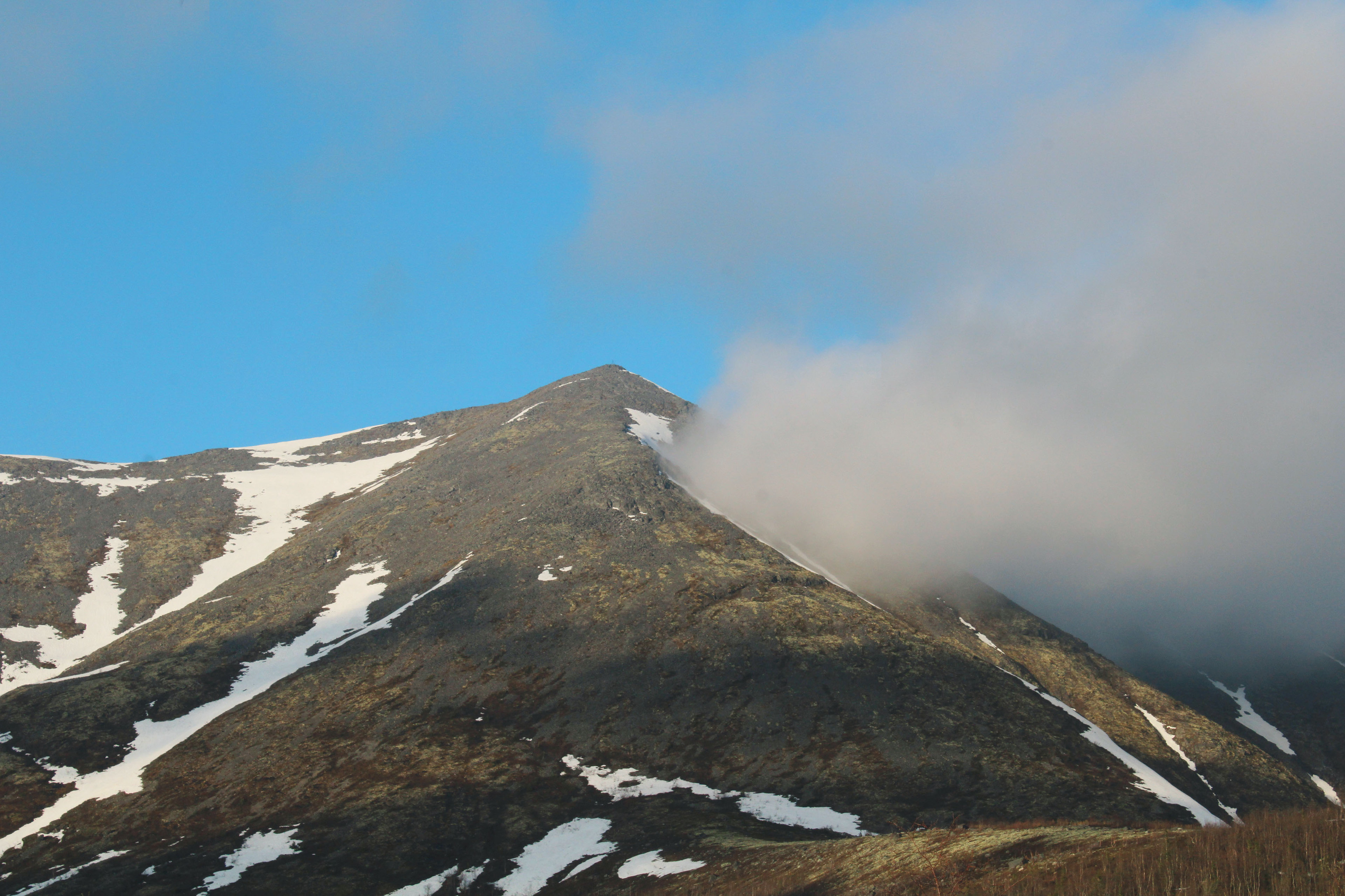 Arctic adventures Photo portfolio — Изображение №7 — Брендинг, Графика на Dprofile