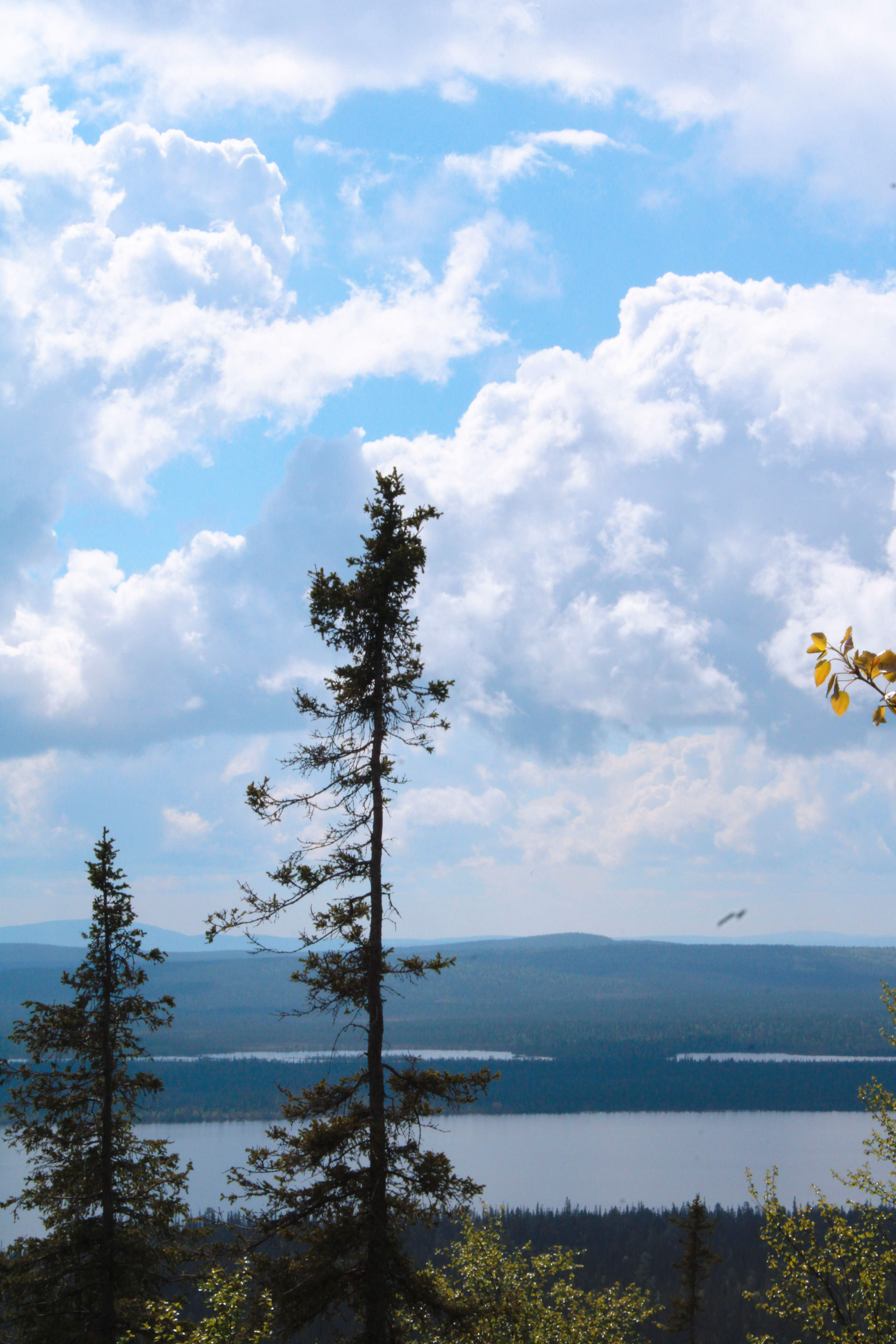 Arctic adventures Photo portfolio — Изображение №19 — Брендинг, Графика на Dprofile