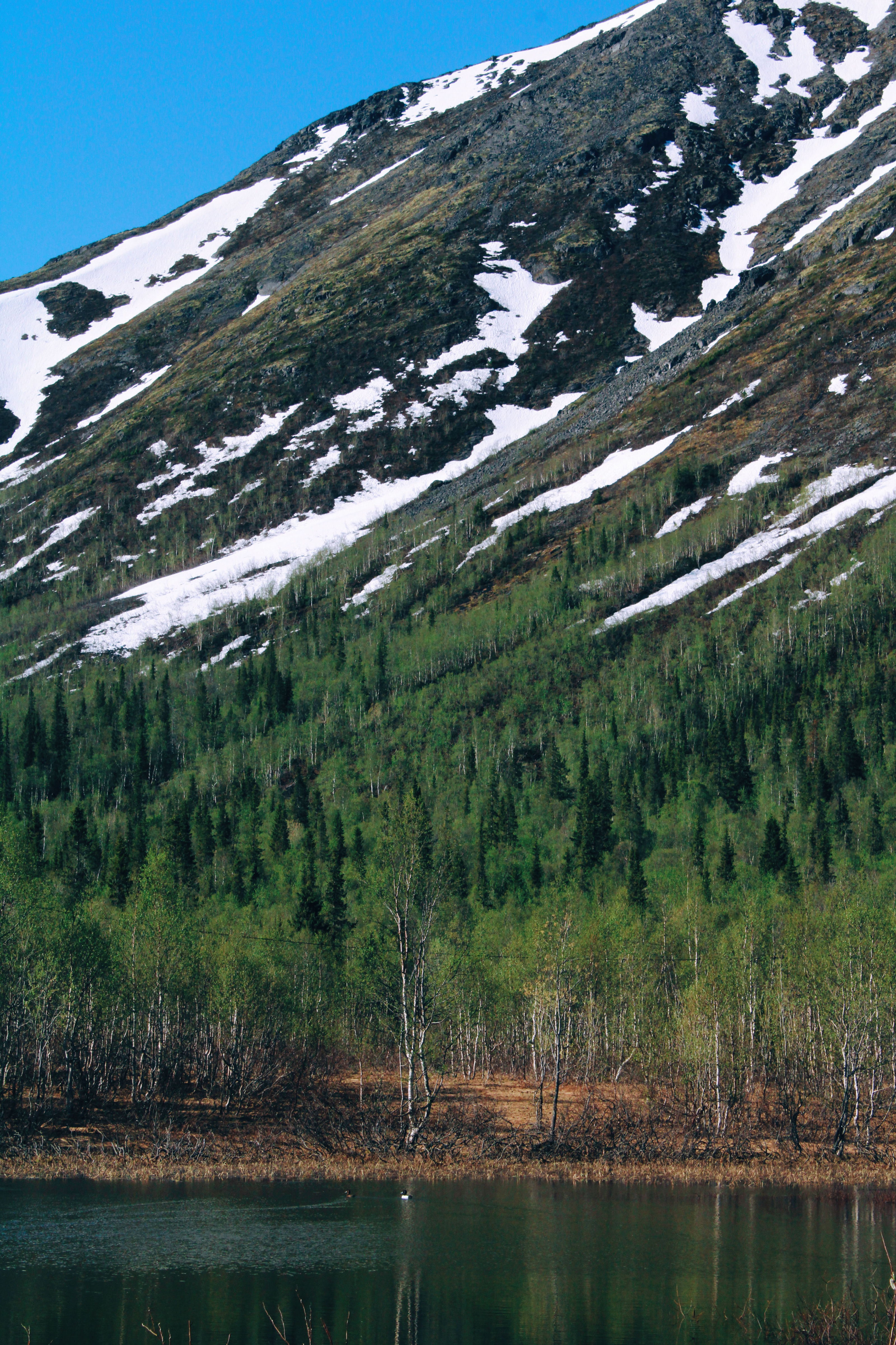 Arctic adventures Photo portfolio — Изображение №5 — Брендинг, Графика на Dprofile