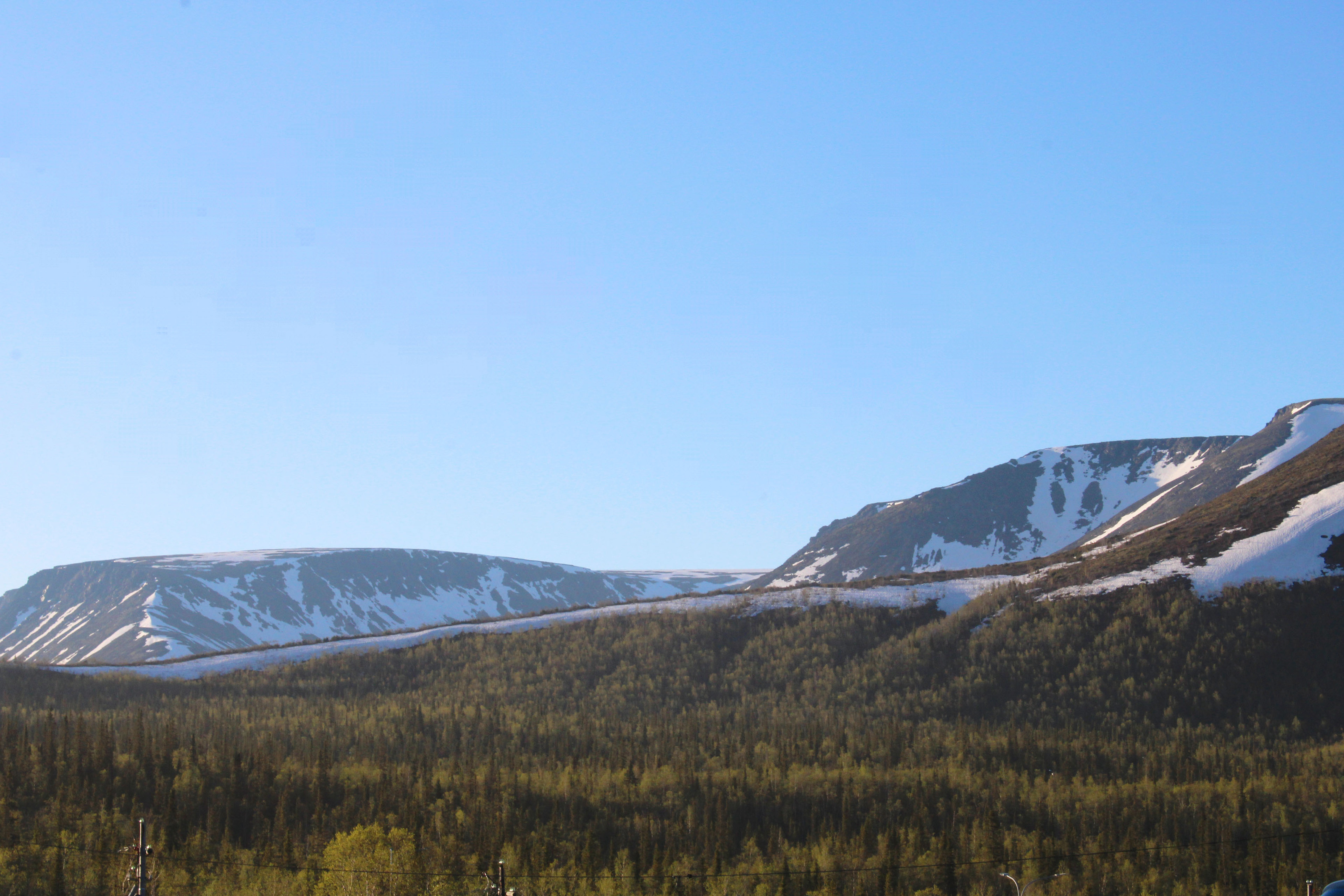 Arctic adventures Photo portfolio — Изображение №10 — Брендинг, Графика на Dprofile