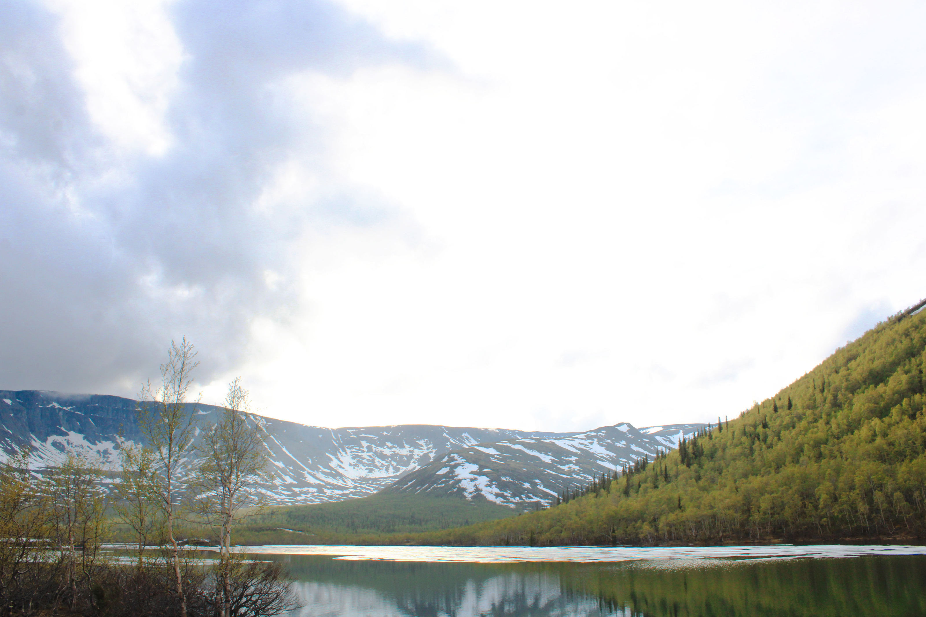 Arctic adventures Photo portfolio — Изображение №14 — Брендинг, Графика на Dprofile