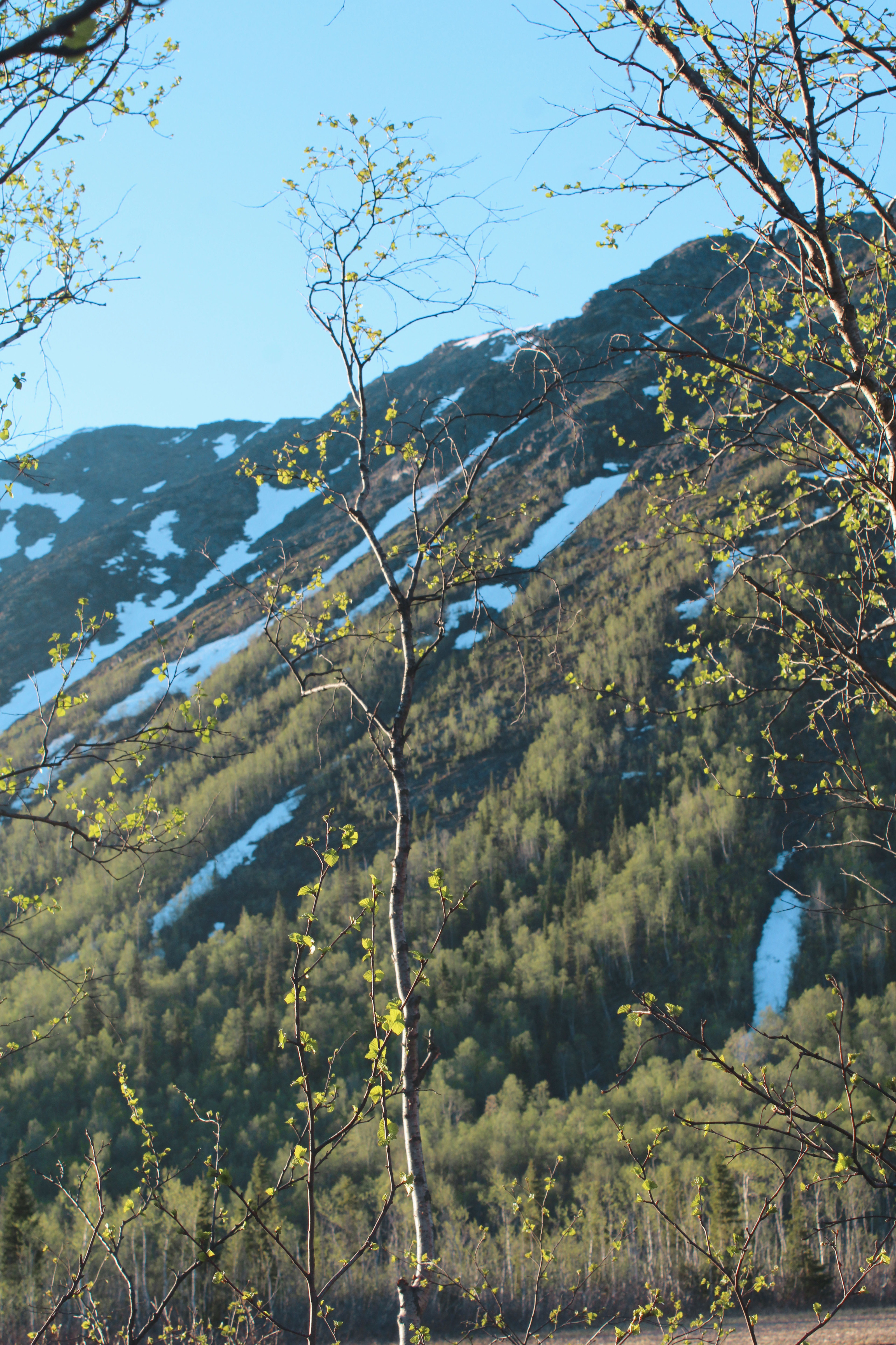 Arctic adventures Photo portfolio — Изображение №18 — Брендинг, Графика на Dprofile