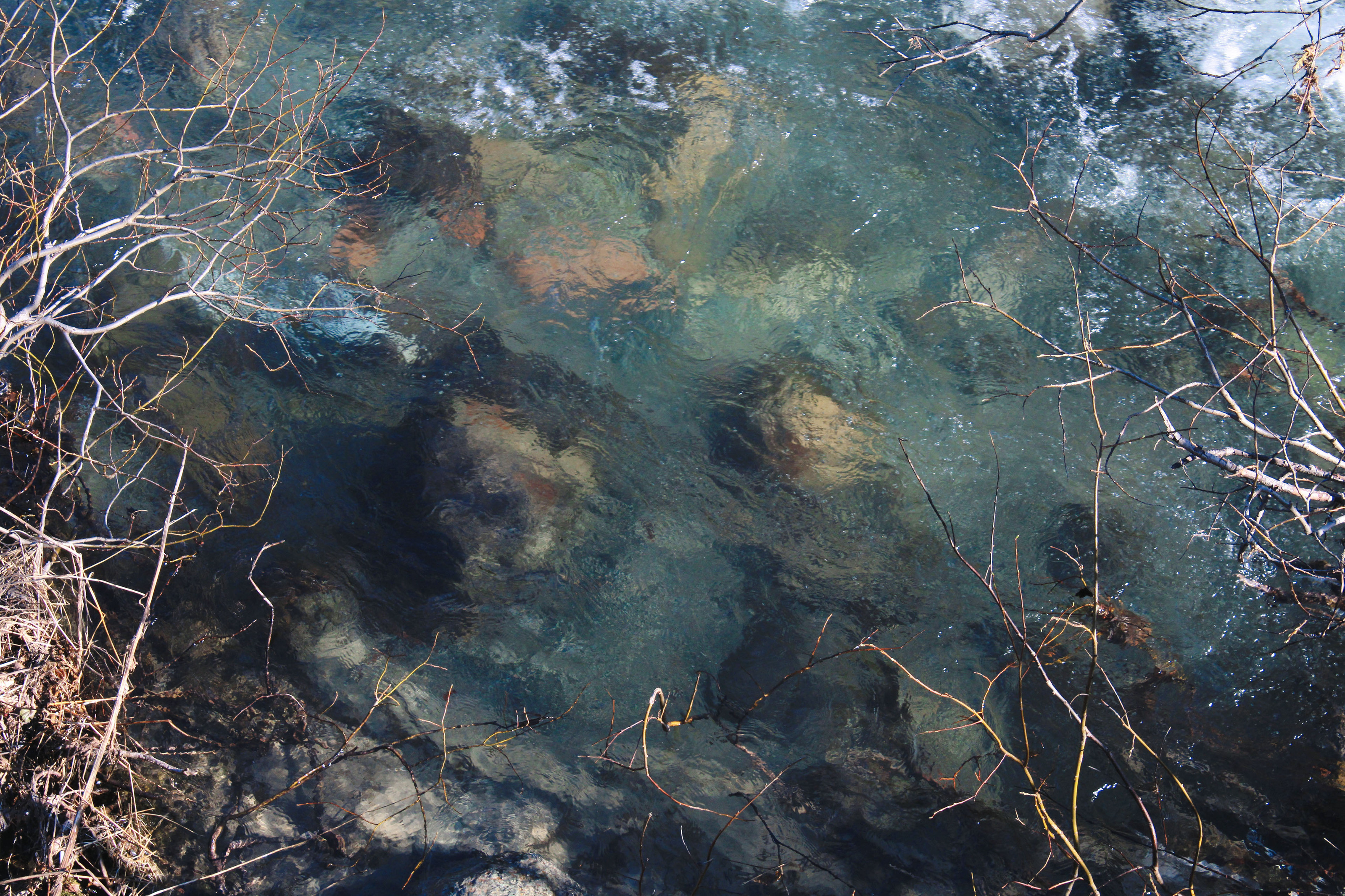 Arctic adventures Photo portfolio — Изображение №4 — Брендинг, Графика на Dprofile