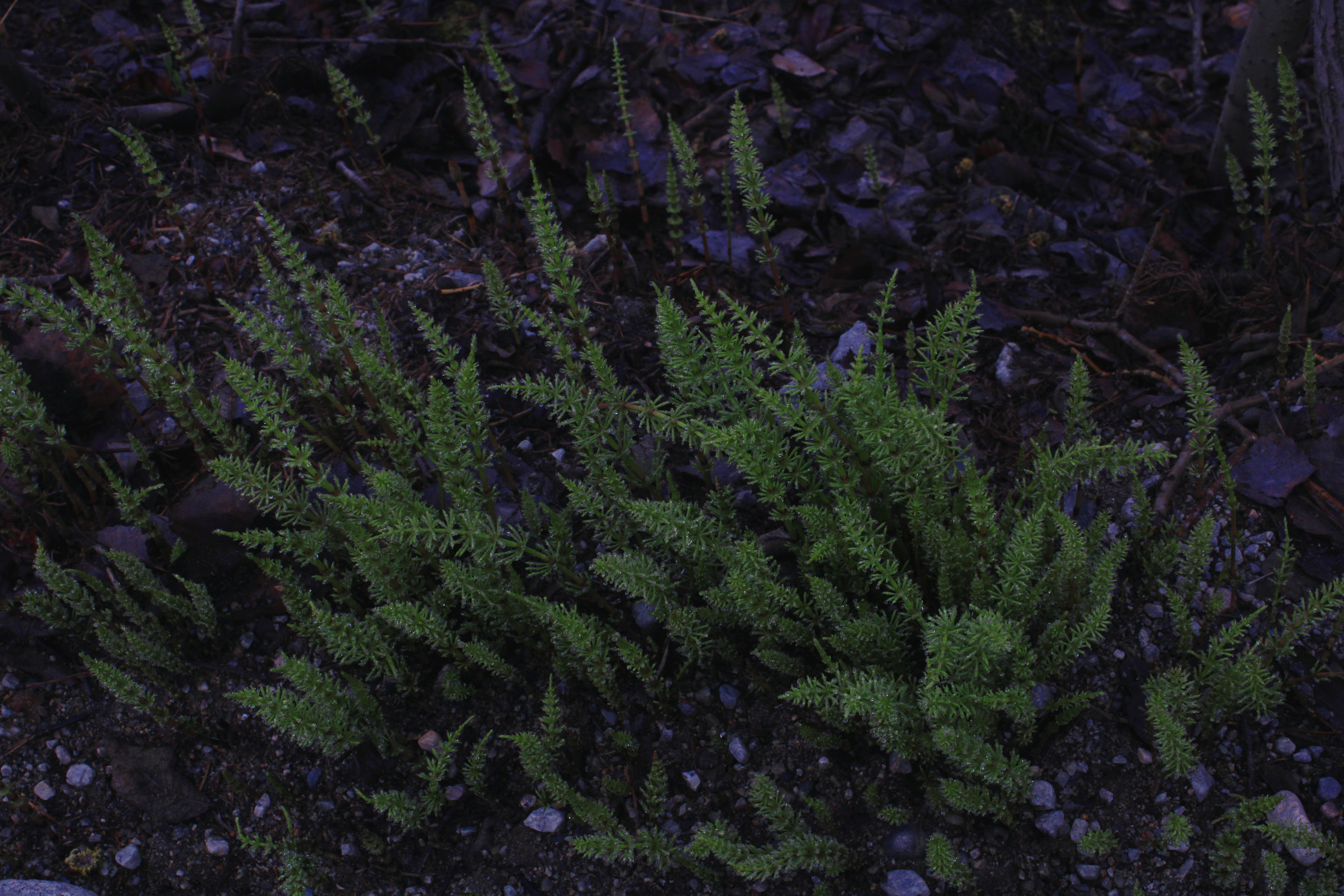 Arctic adventures Photo portfolio — Изображение №17 — Брендинг, Графика на Dprofile