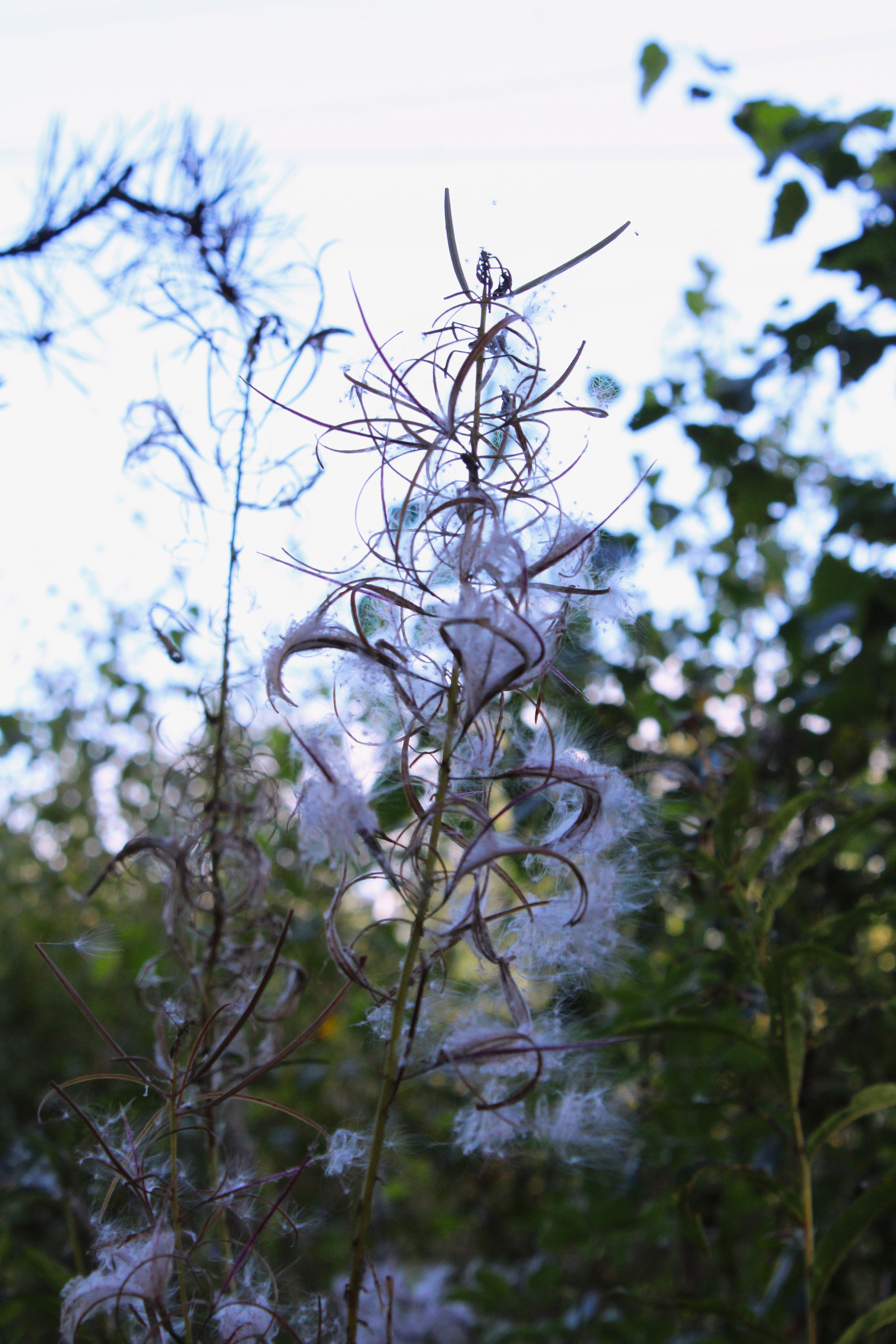 August 2024, Photo portfolio — Изображение №8 — Графика на Dprofile