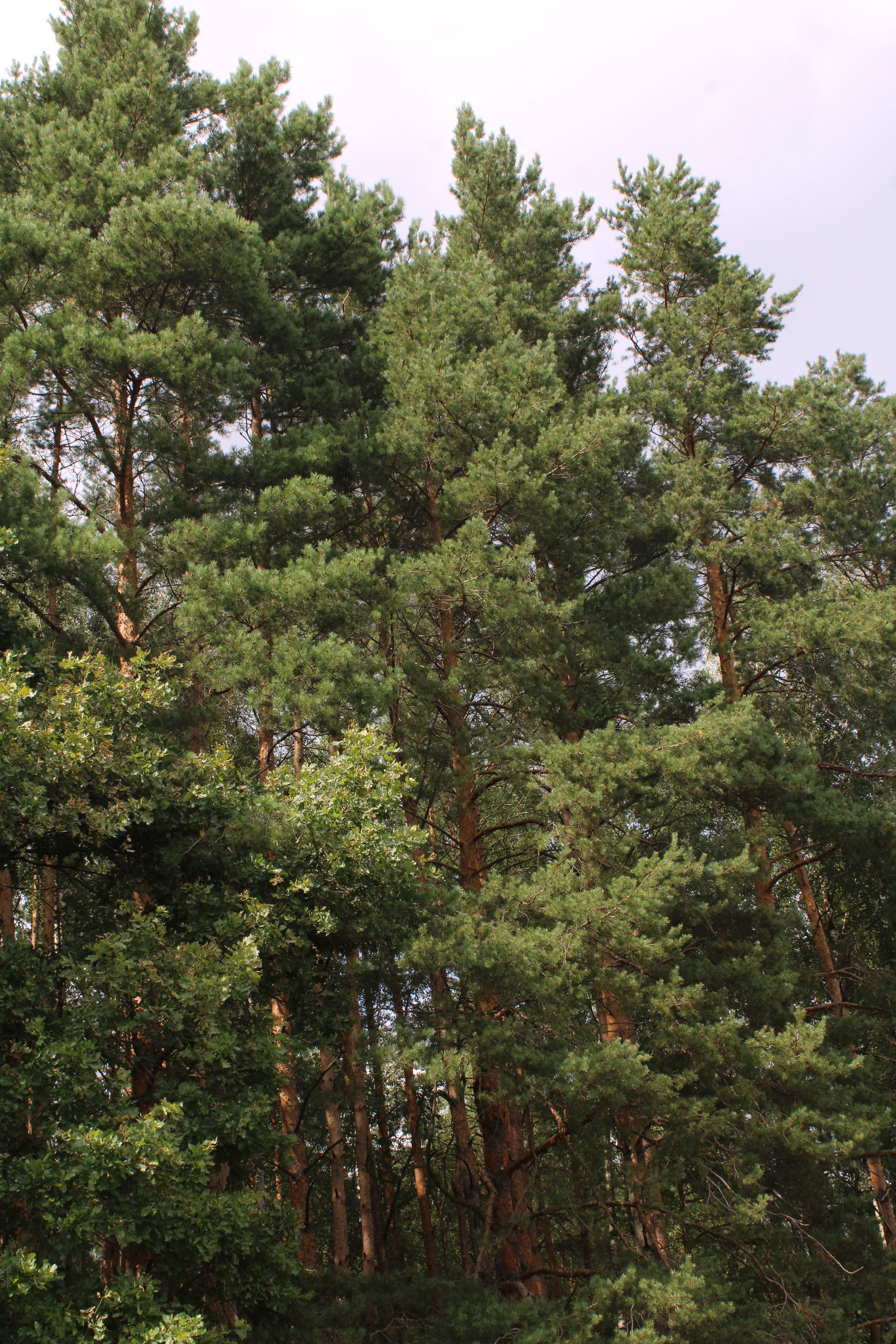 August 2024, Photo portfolio — Изображение №5 — Графика на Dprofile