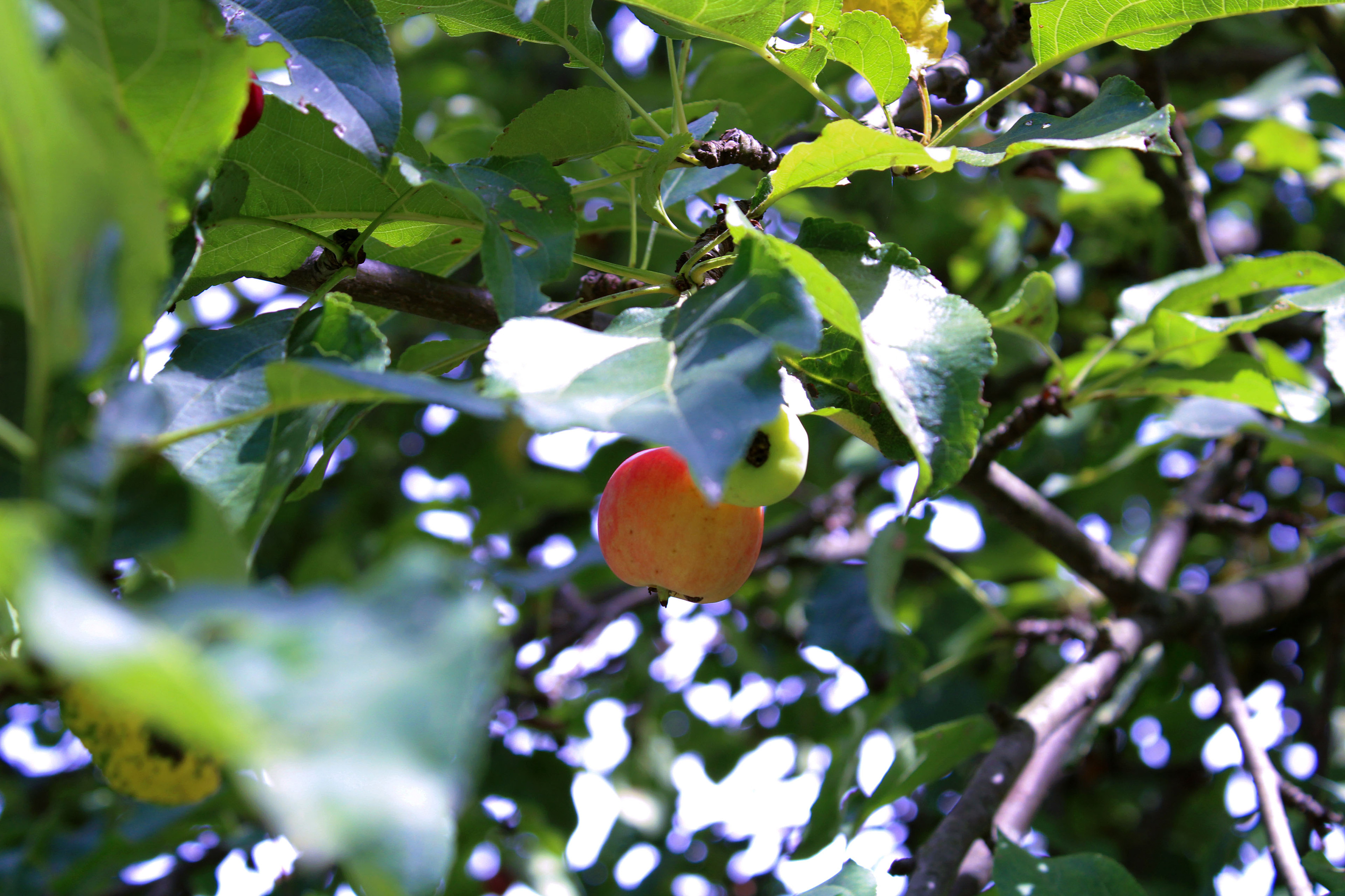 August 2024, Photo portfolio — Изображение №2 — Графика на Dprofile