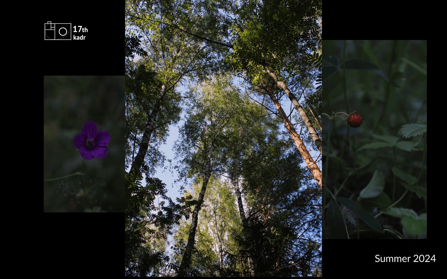 August 2024, Photo portfolio — Изображение №1 — Графика на Dprofile