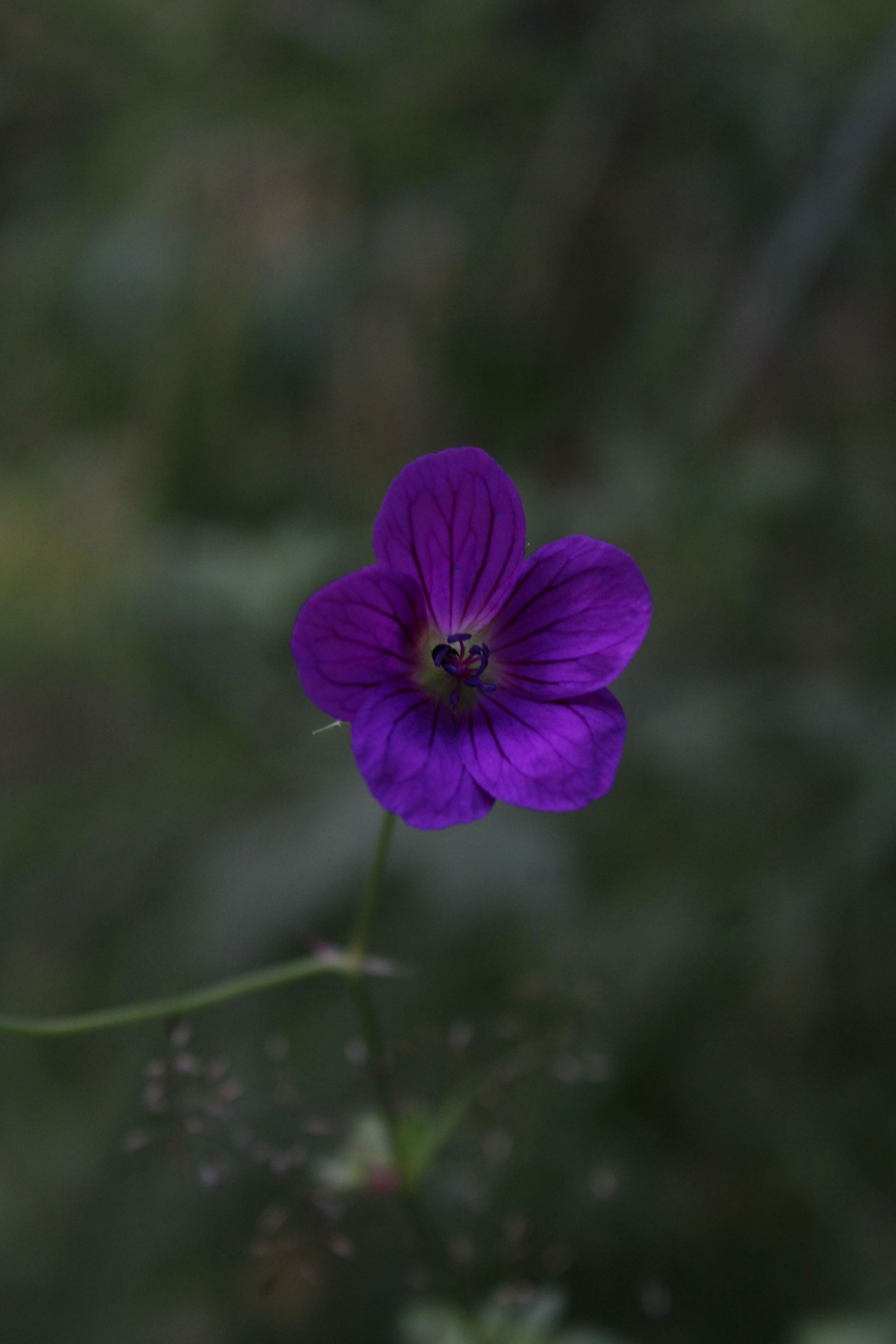 August 2024, Photo portfolio — Изображение №11 — Графика на Dprofile