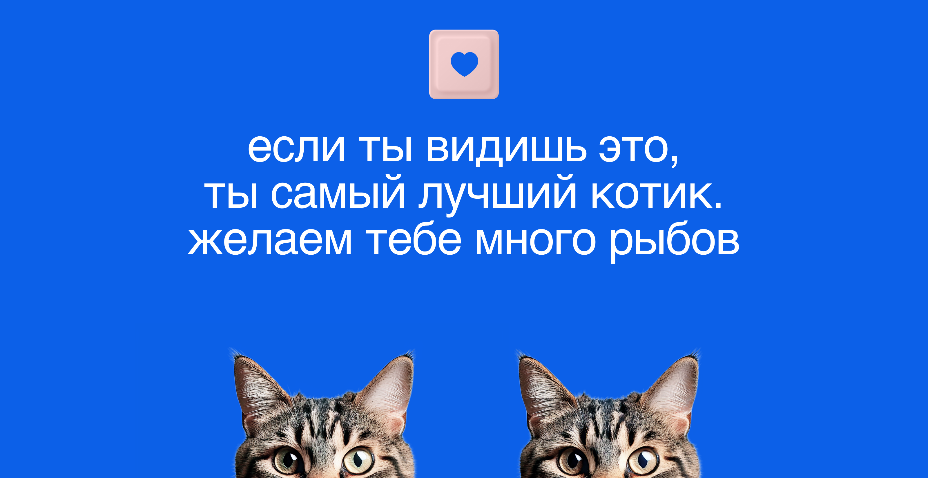 Сайт кошачьего дизайн-агентства — Изображение №8 — Интерфейсы, Графика на Dprofile