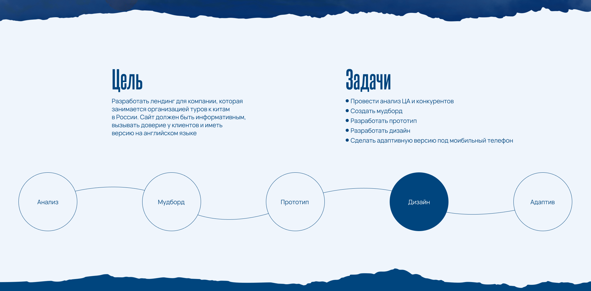 Whale Tours | Туры к китам landing page — Изображение №2 — Интерфейсы на Dprofile