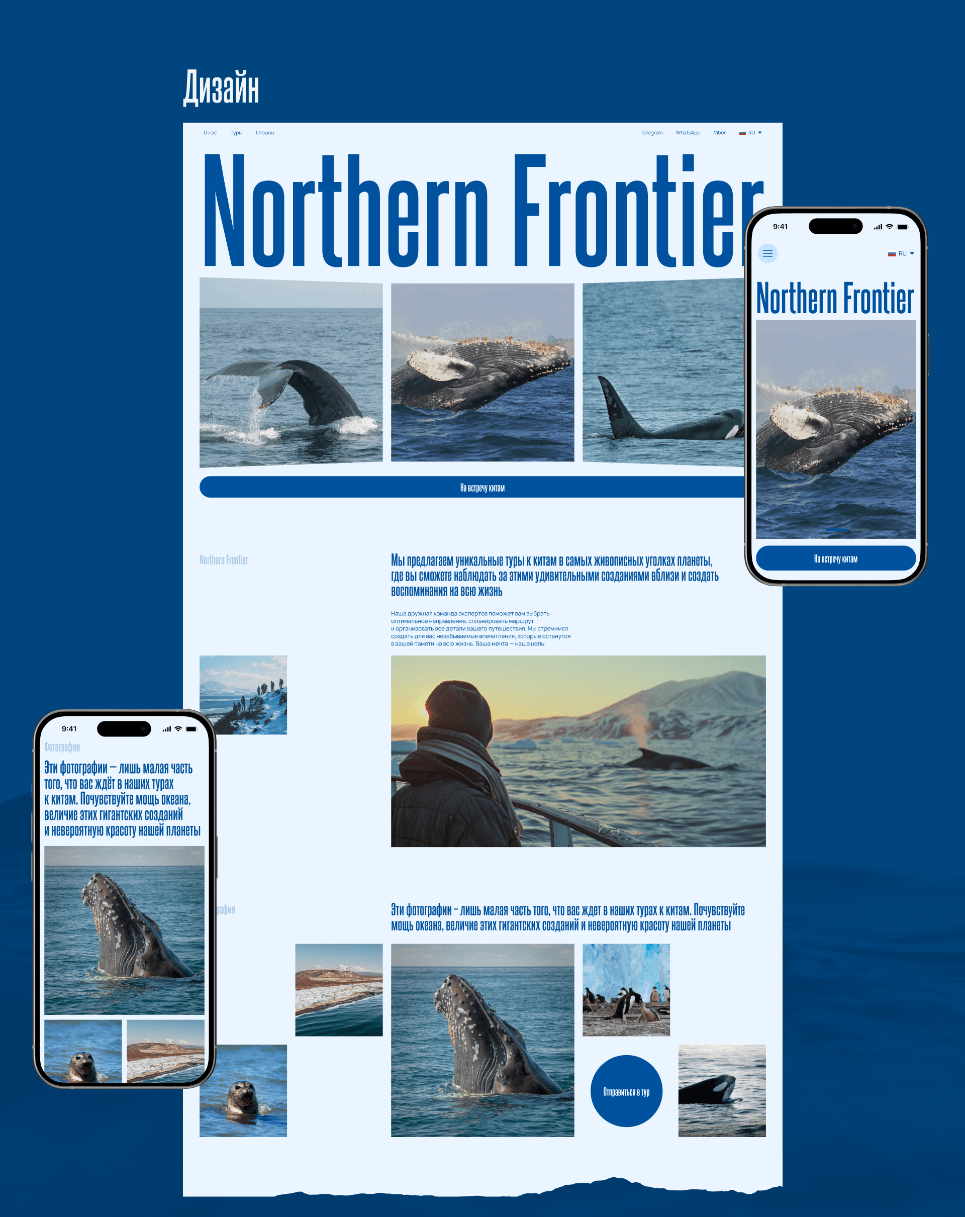 Whale Tours | Туры к китам landing page — Изображение №5 — Интерфейсы на Dprofile