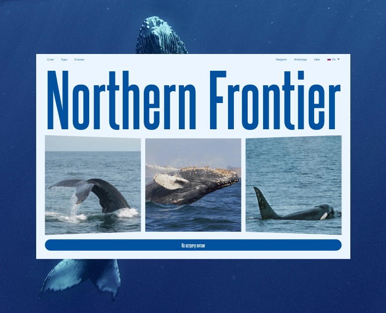 Whale Tours | Туры к китам landing page — Интерфейсы на Dprofile