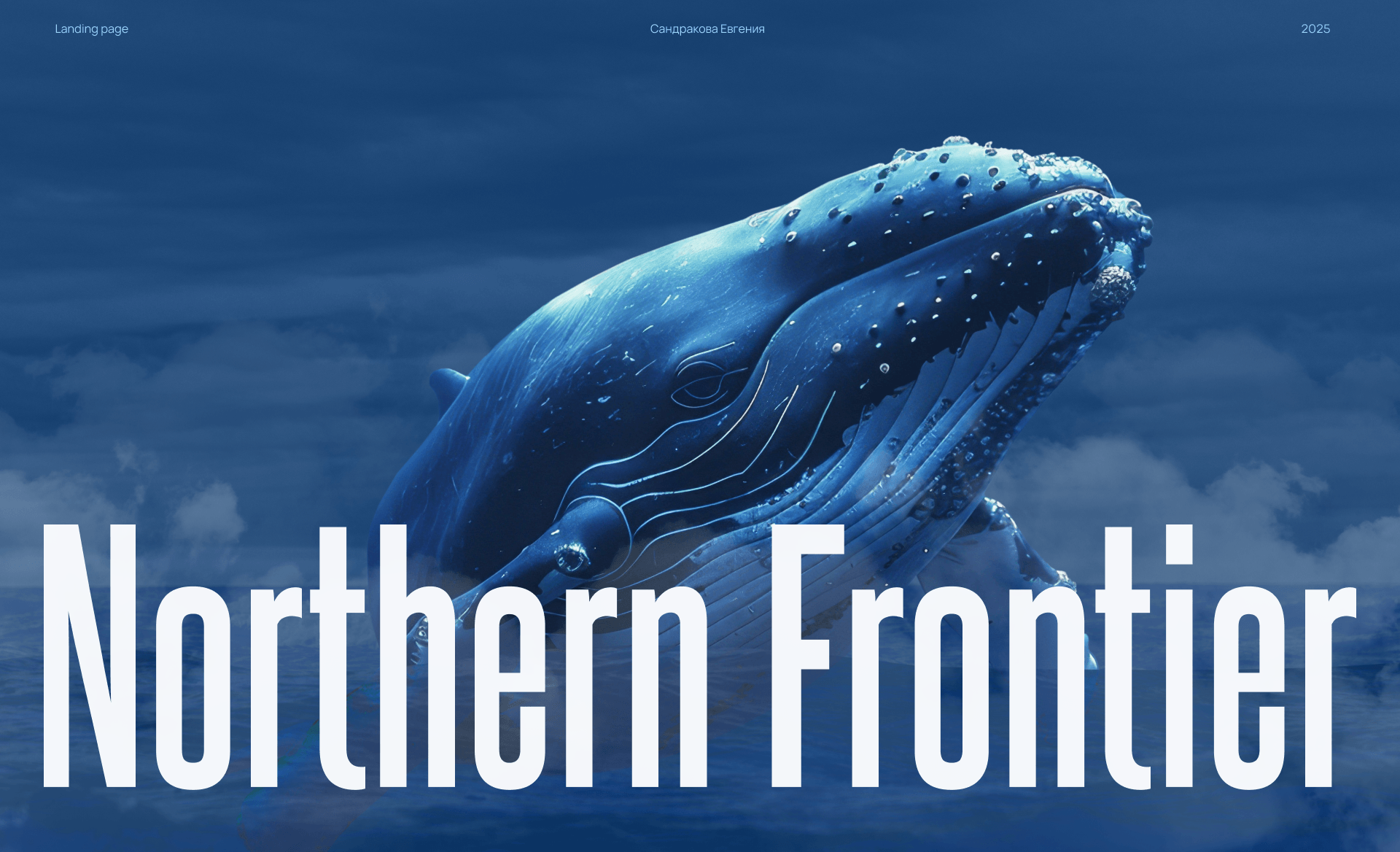 Whale Tours | Туры к китам landing page — Изображение №1 — Интерфейсы на Dprofile