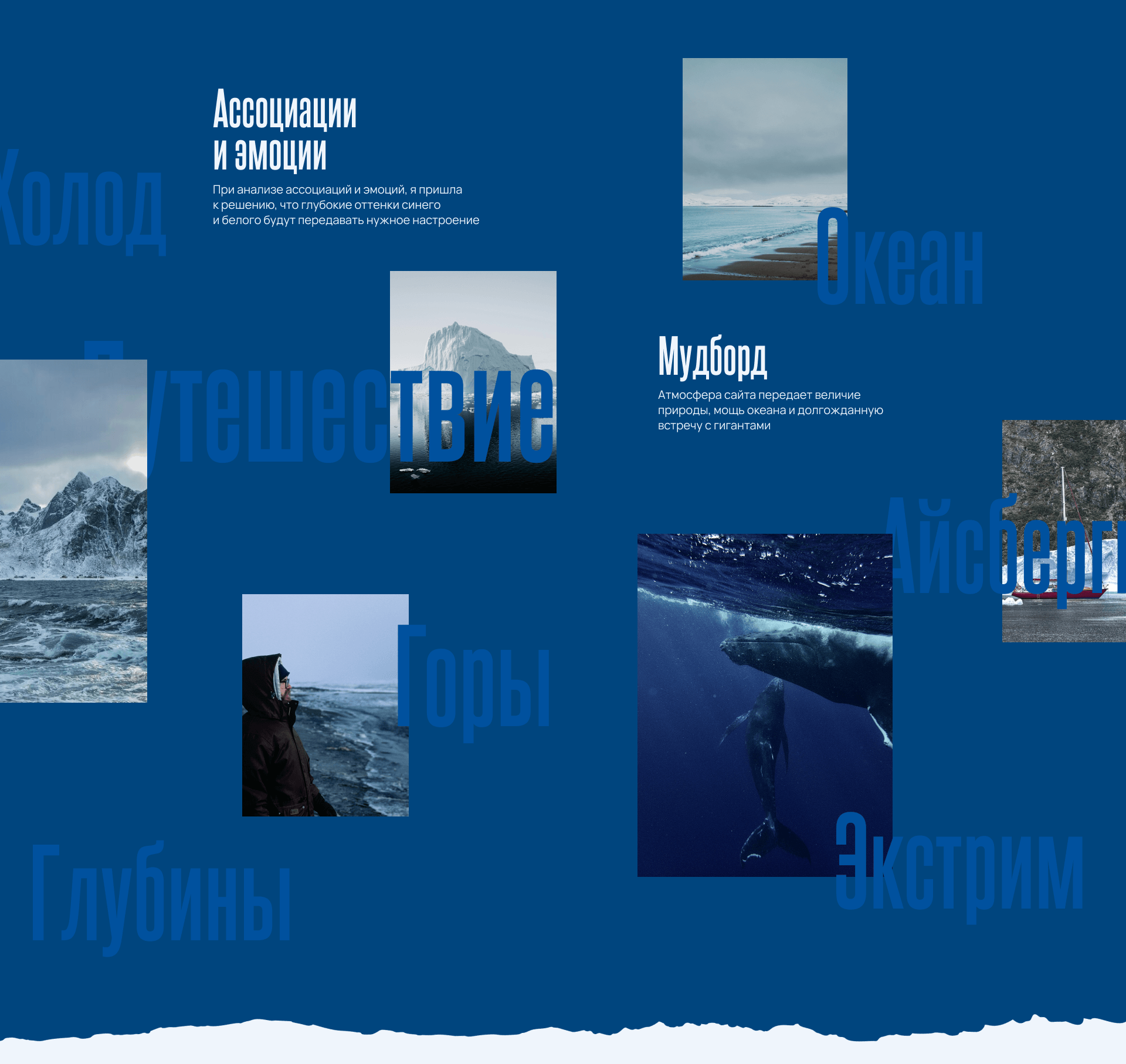 Whale Tours | Туры к китам landing page — Изображение №3 — Интерфейсы на Dprofile