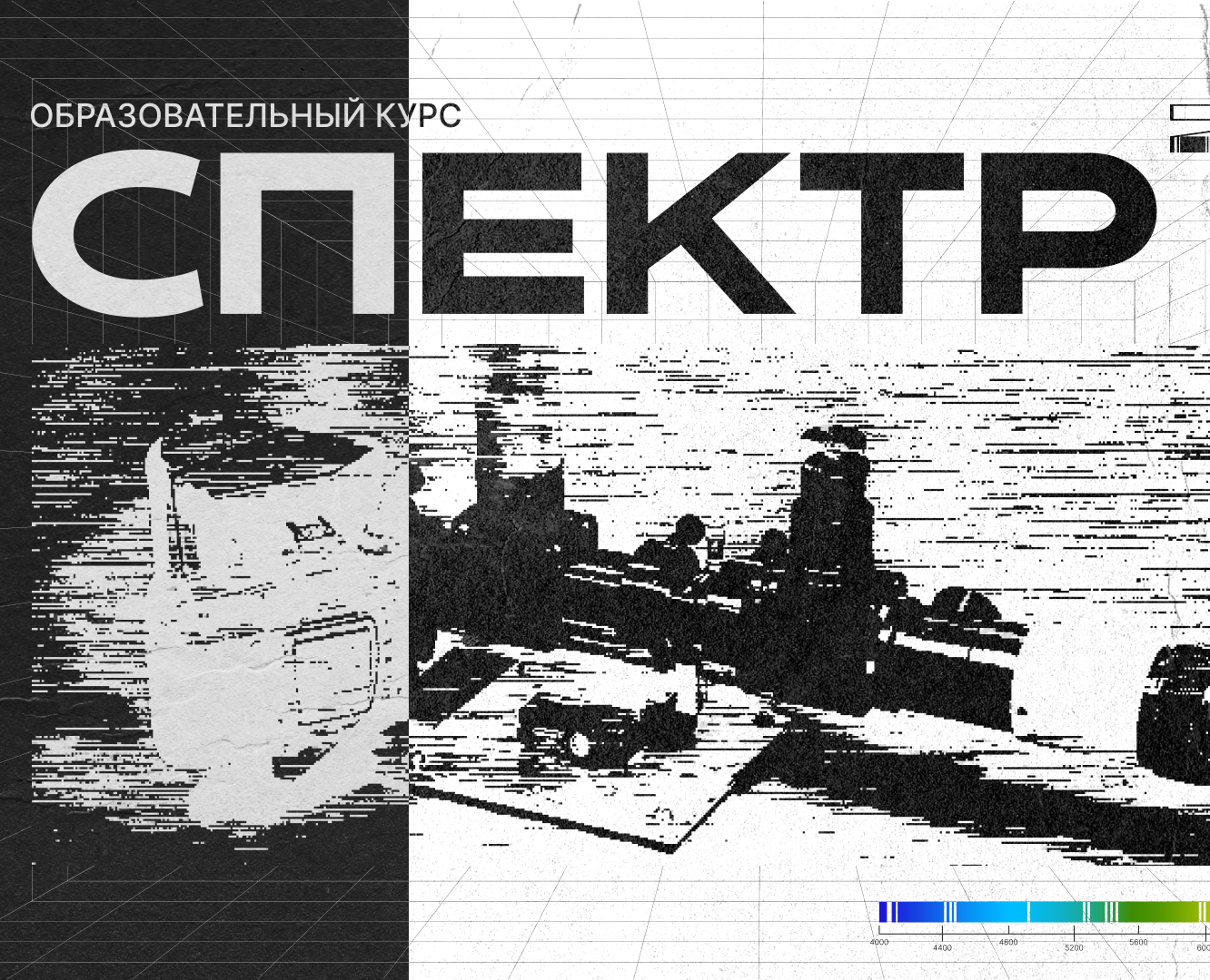 Образовательный курс «СПЕКТР» — Брендинг, Графика на Dprofile