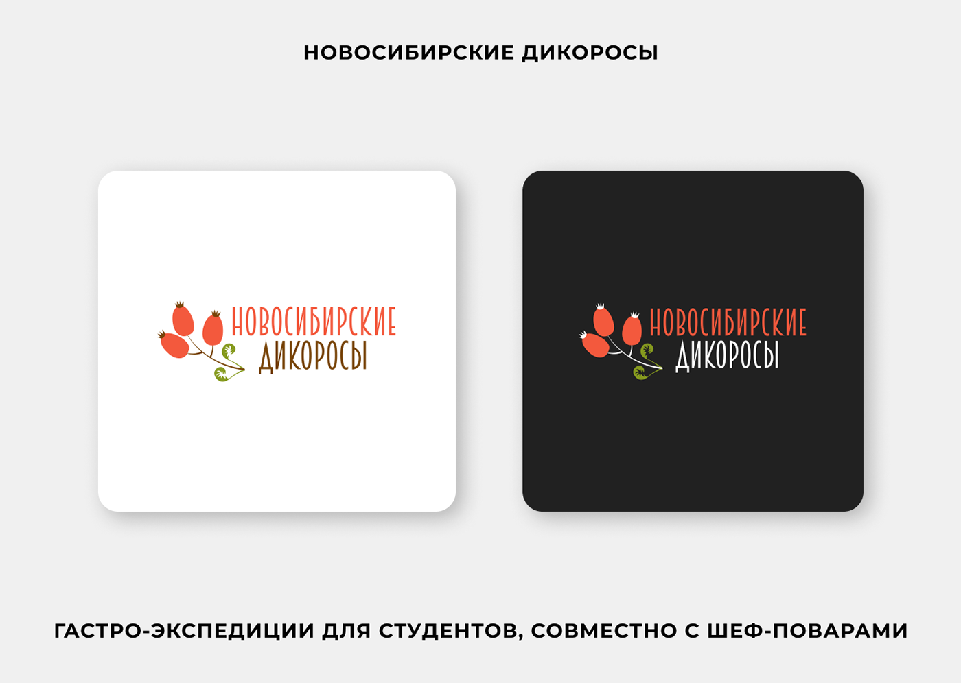 Логофолио 2023 | Logofolio 2023 — Изображение №32 — Брендинг на Dprofile