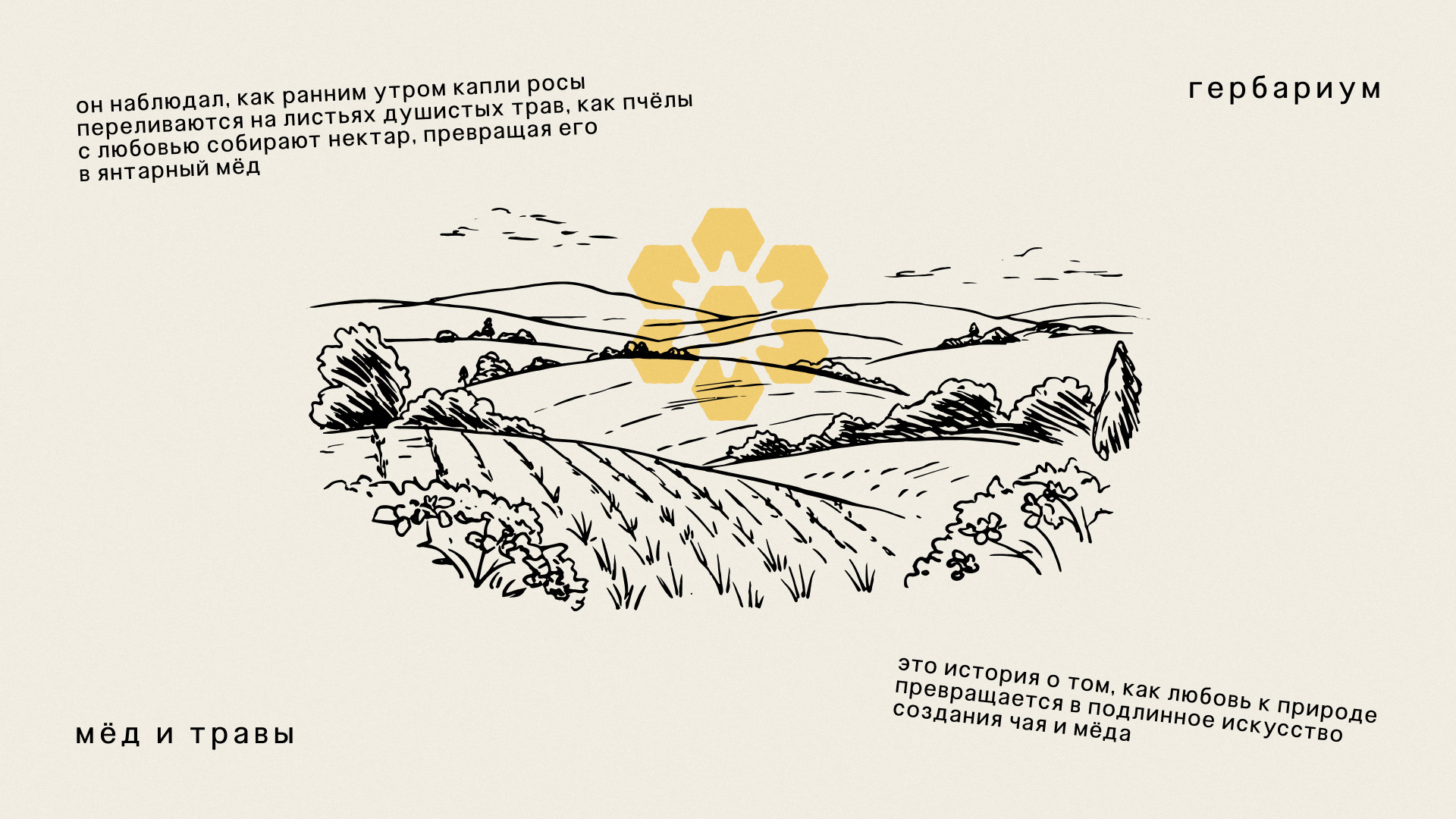 Гербариум — Изображение №14 — Брендинг на Dprofile