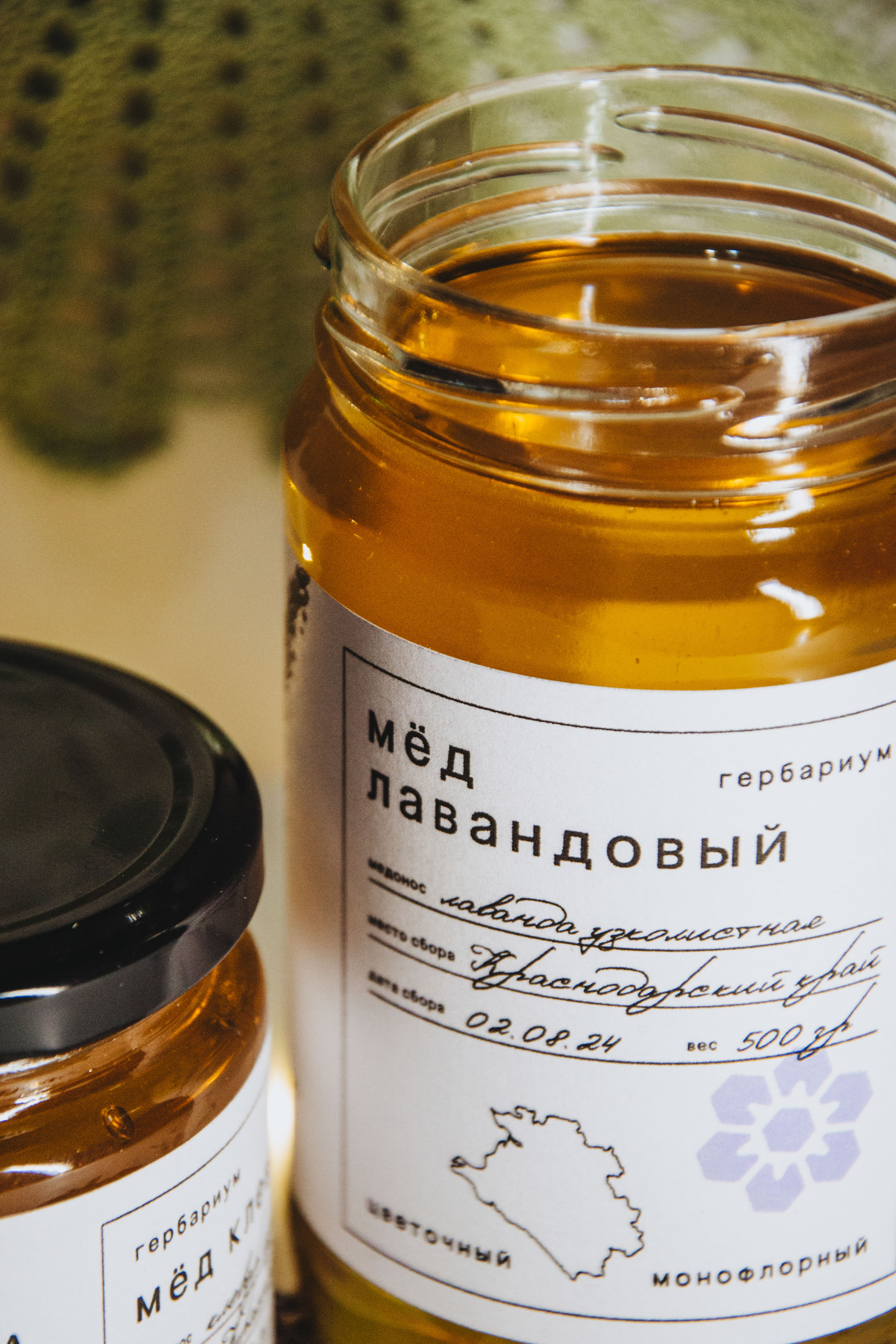 Гербариум — Изображение №32 — Брендинг на Dprofile