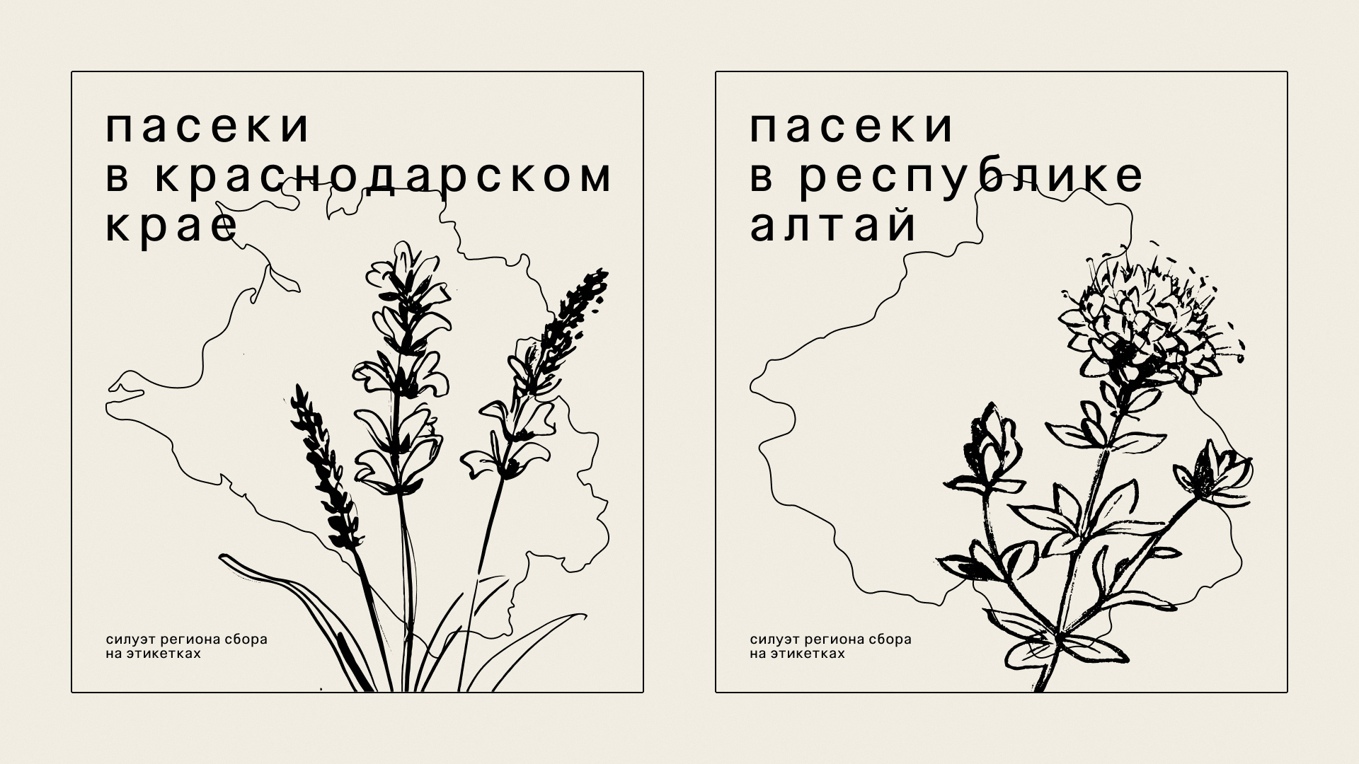 Гербариум — Изображение №6 — Брендинг на Dprofile