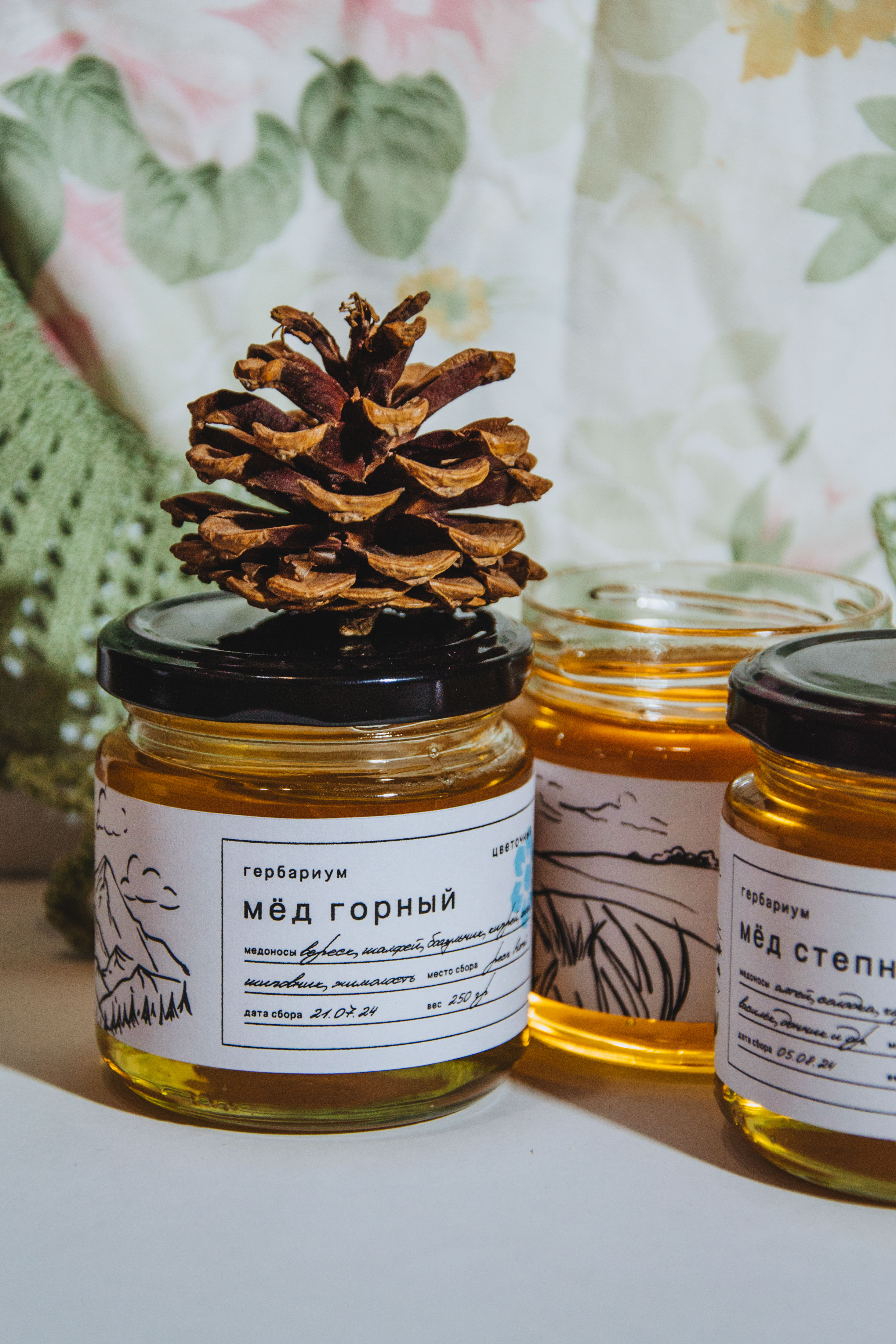 Гербариум — Изображение №41 — Брендинг на Dprofile