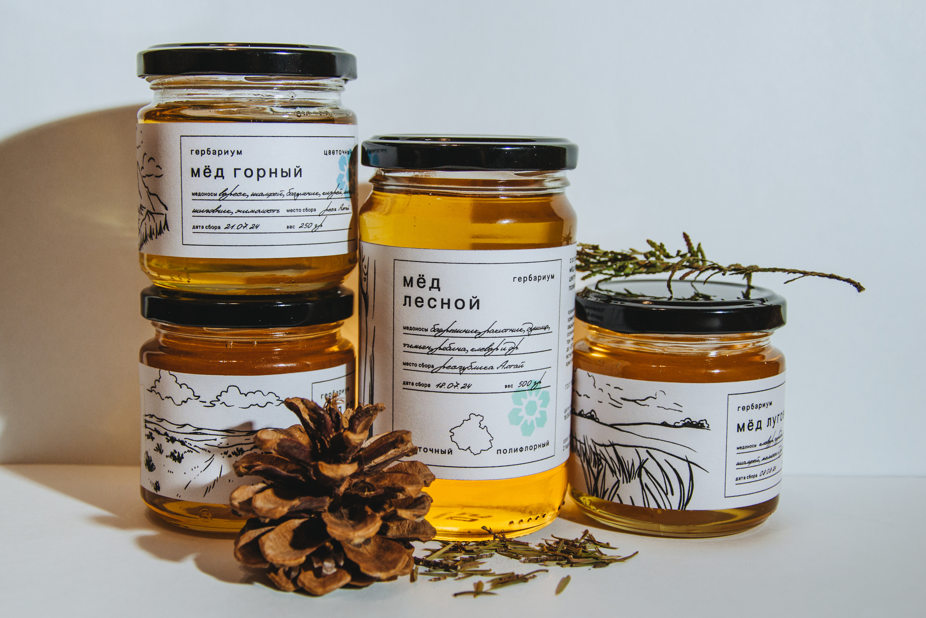 Гербариум — Изображение №36 — Брендинг на Dprofile