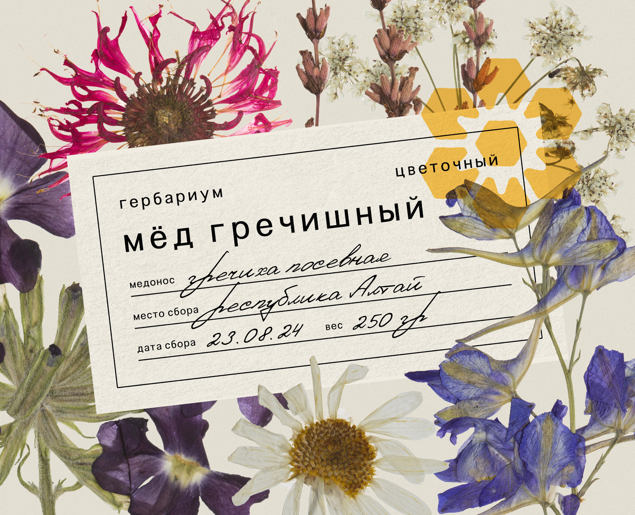 Гербариум — Брендинг на Dprofile