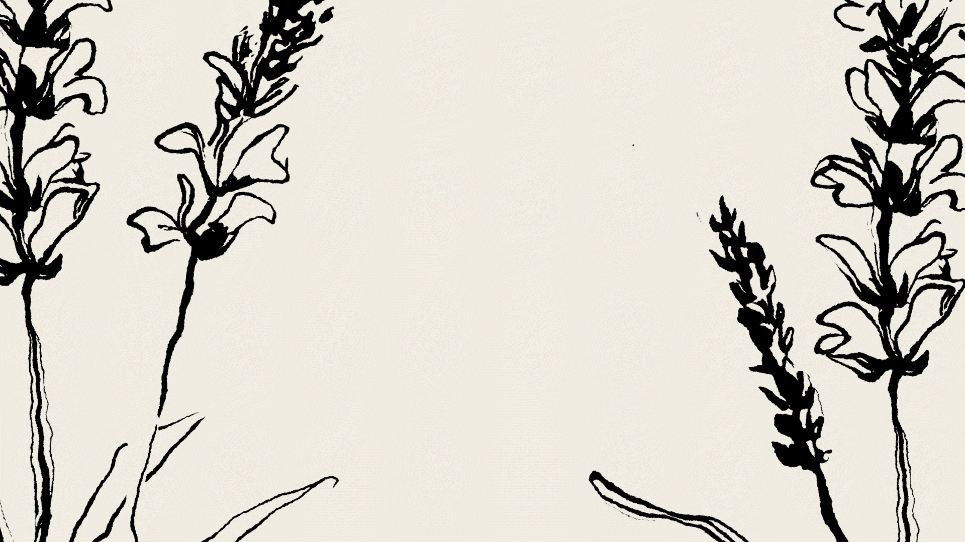 Гербариум — Изображение №5 — Брендинг на Dprofile