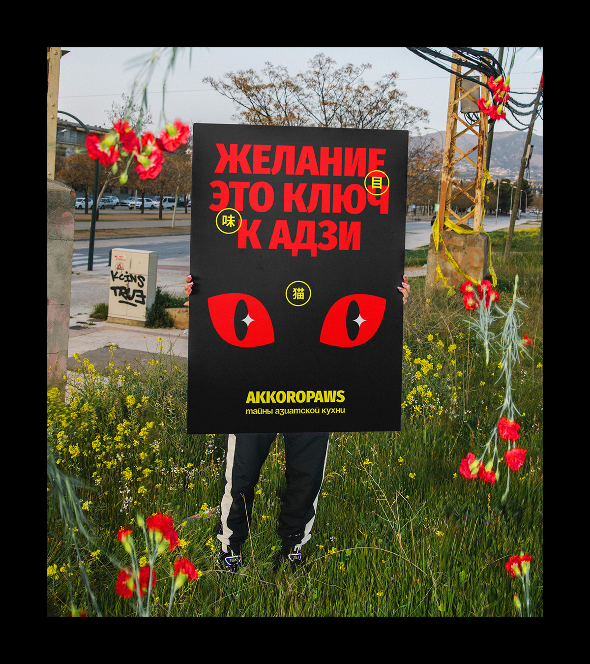 Akkoropaws — Изображение №60 — Брендинг, Анимация на Dprofile