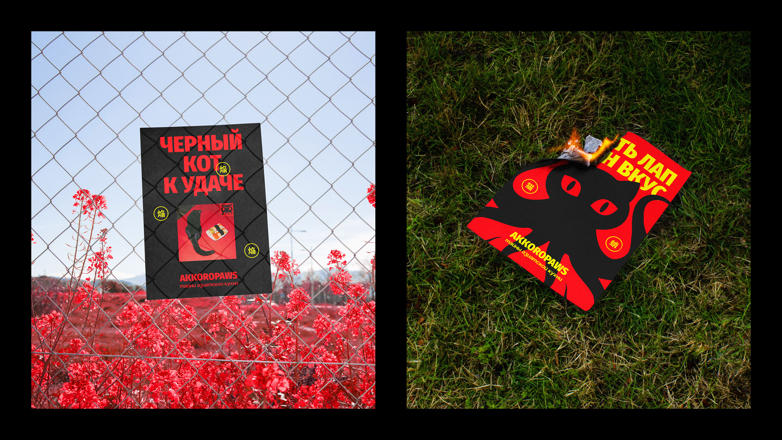 Akkoropaws — Изображение №66 — Брендинг, Анимация на Dprofile