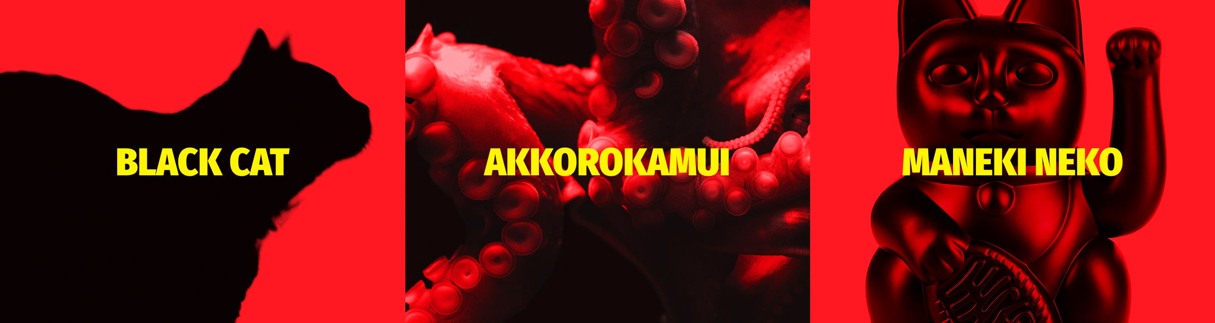 Akkoropaws — Изображение №2 — Брендинг, Анимация на Dprofile
