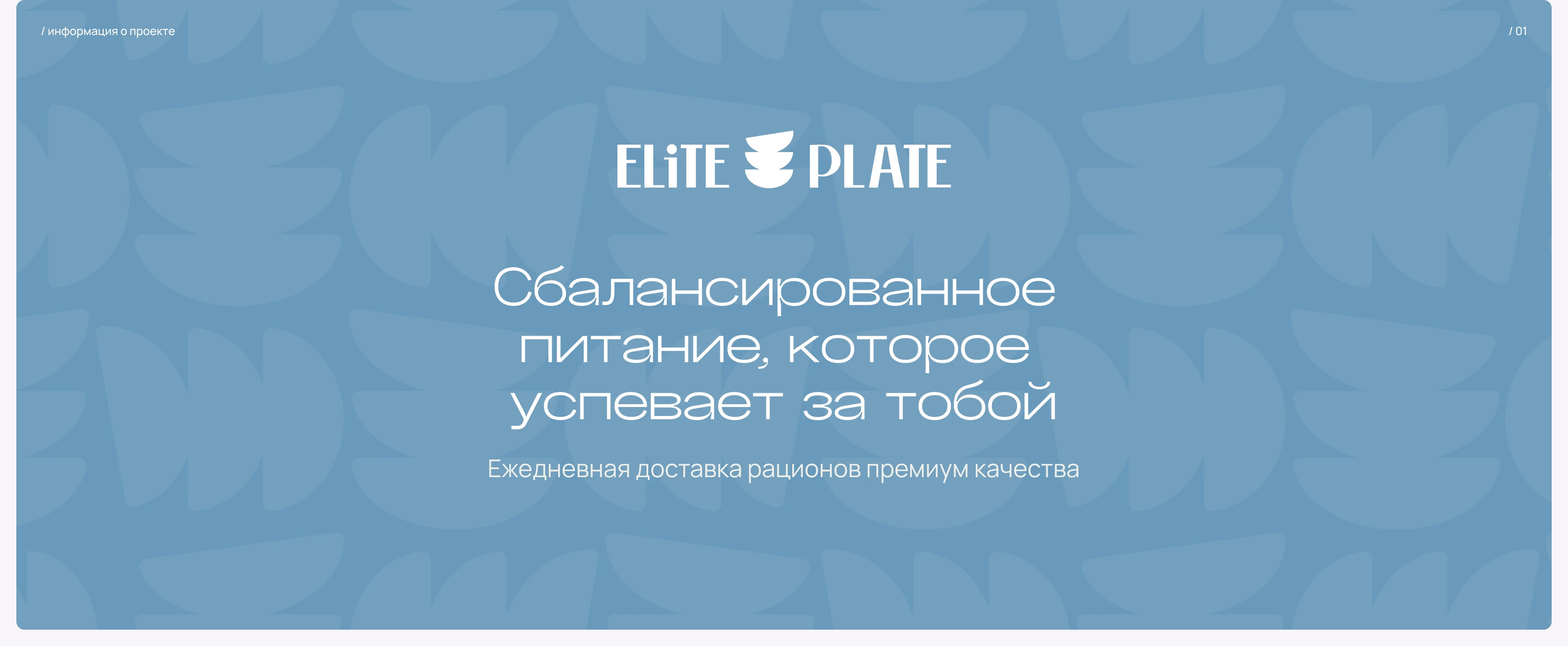 Elite Plate | Доставка рационов — Изображение №2 — Интерфейсы, Брендинг на Dprofile
