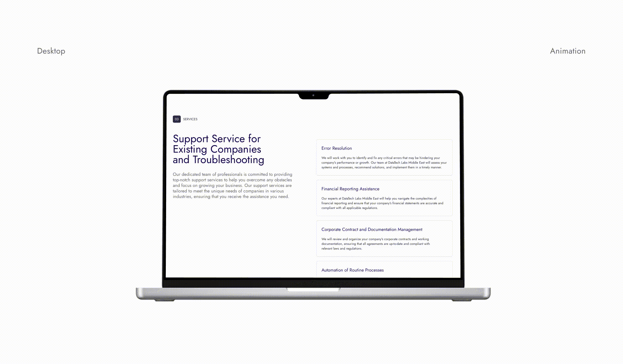 Datalabs Corporate Service Provider | Landing Page — Изображение №4 — Интерфейсы, Брендинг на Dprofile