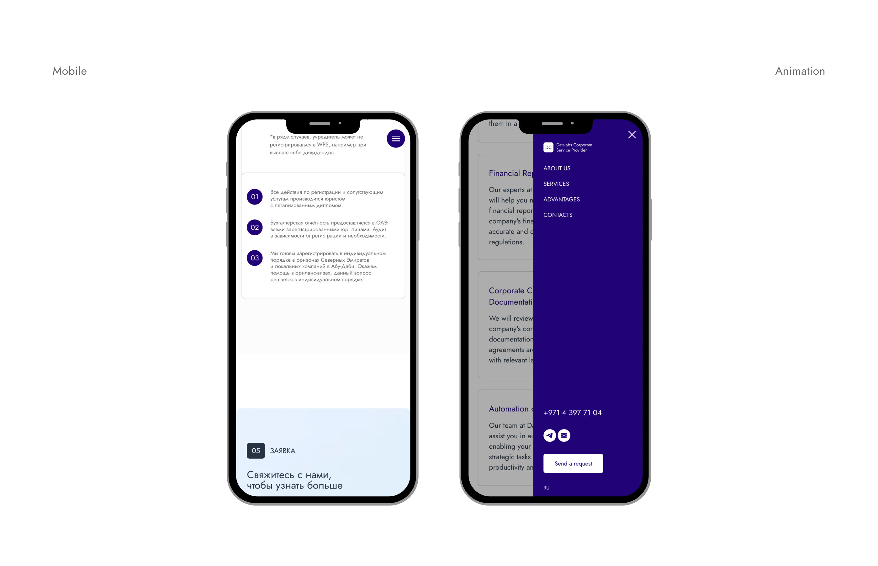 Datalabs Corporate Service Provider | Landing Page — Изображение №6 — Интерфейсы, Брендинг на Dprofile