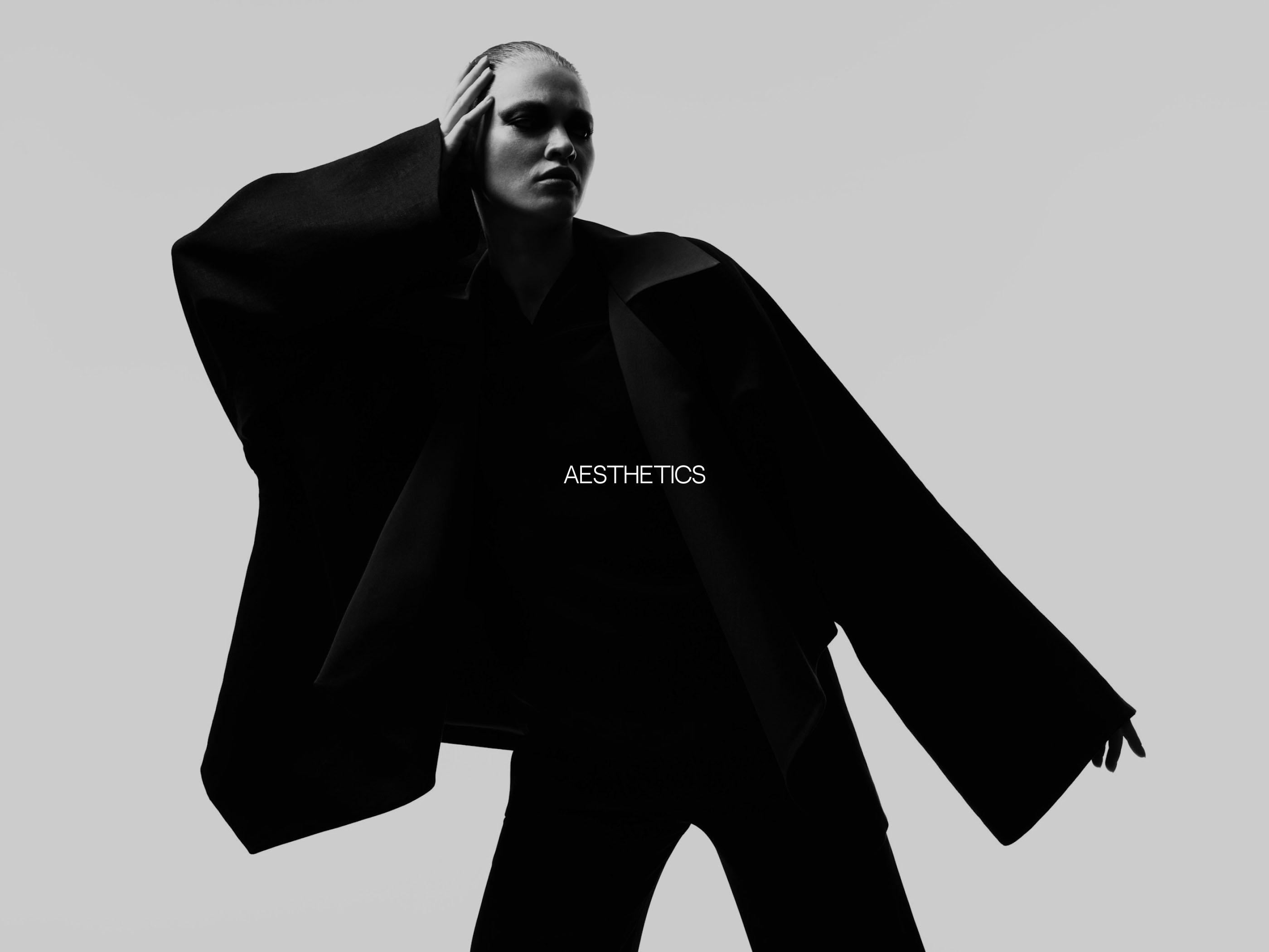 Landing page / Image agency Aesthetics / Web-design — Изображение №8 — Интерфейсы на Dprofile