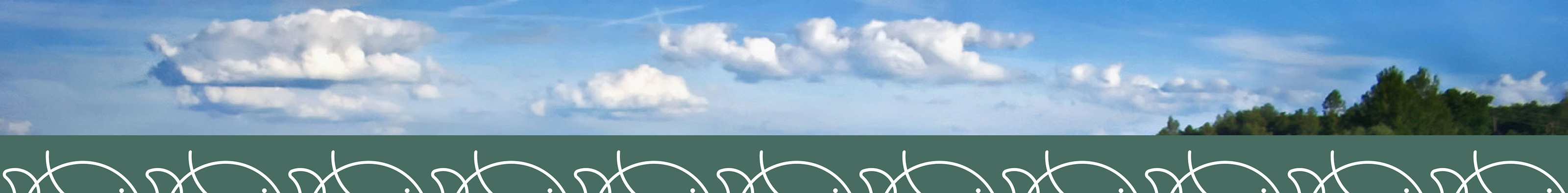 Profishing | Фирменный стиль для магазина рыболовных товаров — Изображение №13 — Брендинг на Dprofile