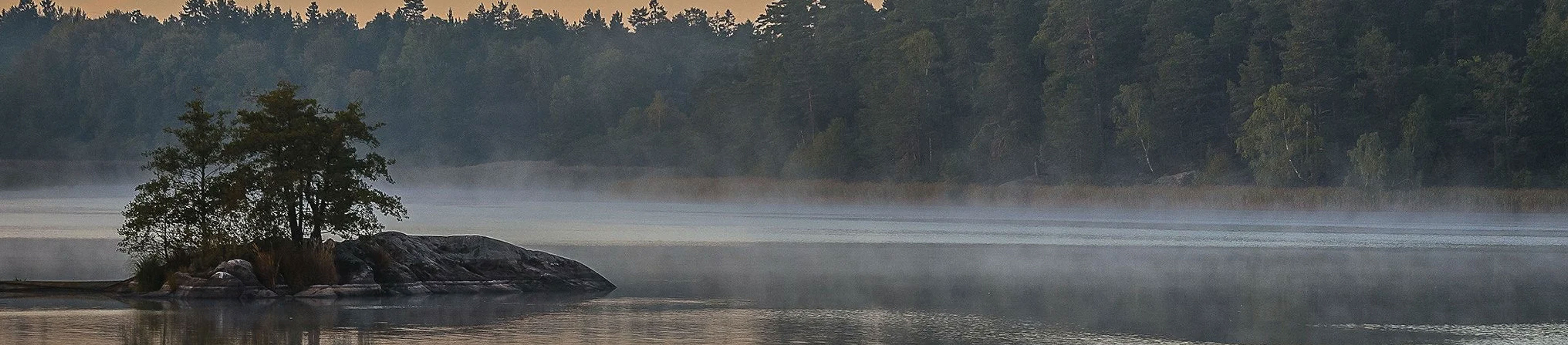 Profishing | Фирменный стиль для магазина рыболовных товаров — Изображение №8 — Брендинг на Dprofile