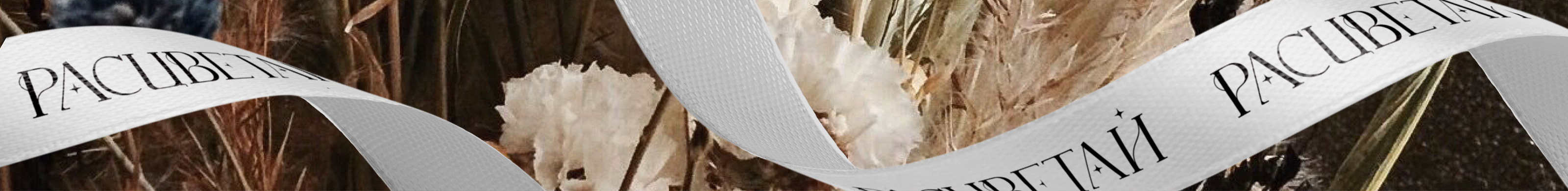 Расцветай | Фирменный стиль студии флористики — Изображение №9 — Брендинг на Dprofile