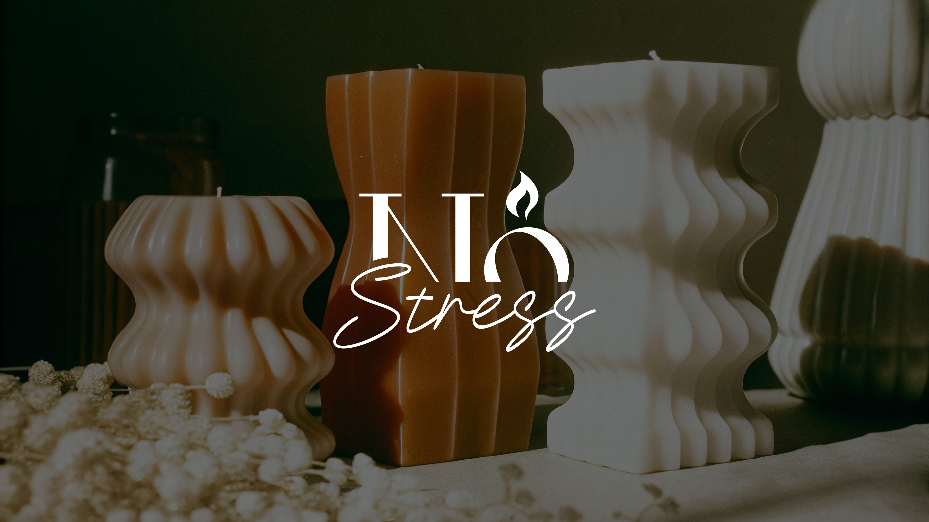 Логотип & Фирменный стиль для бренда свечей | NOSTRESS — Изображение №1 — Брендинг на Dprofile