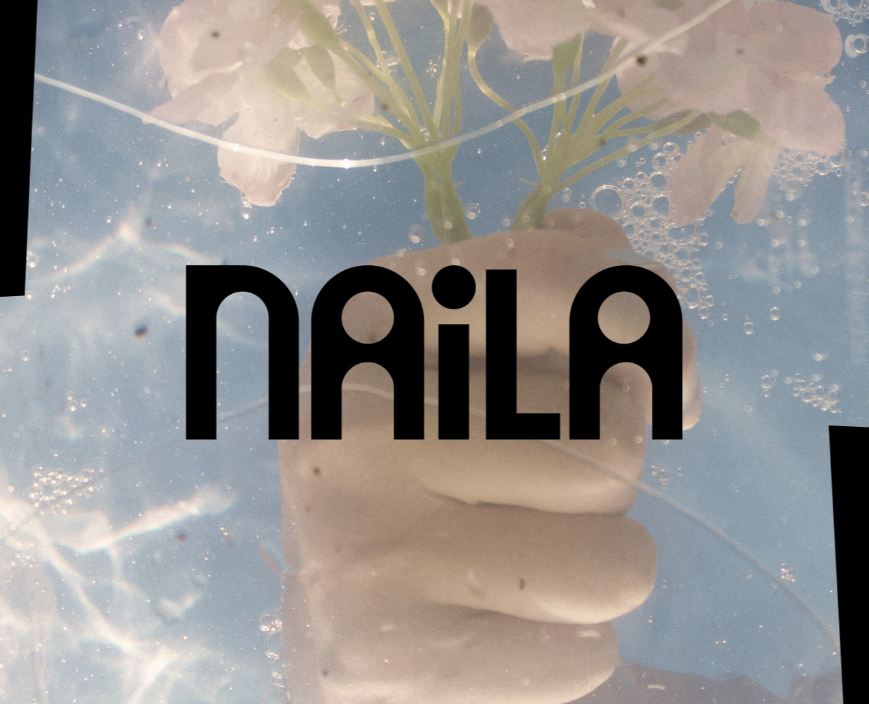 Naila & Scobbster: логотипы на Dprofile