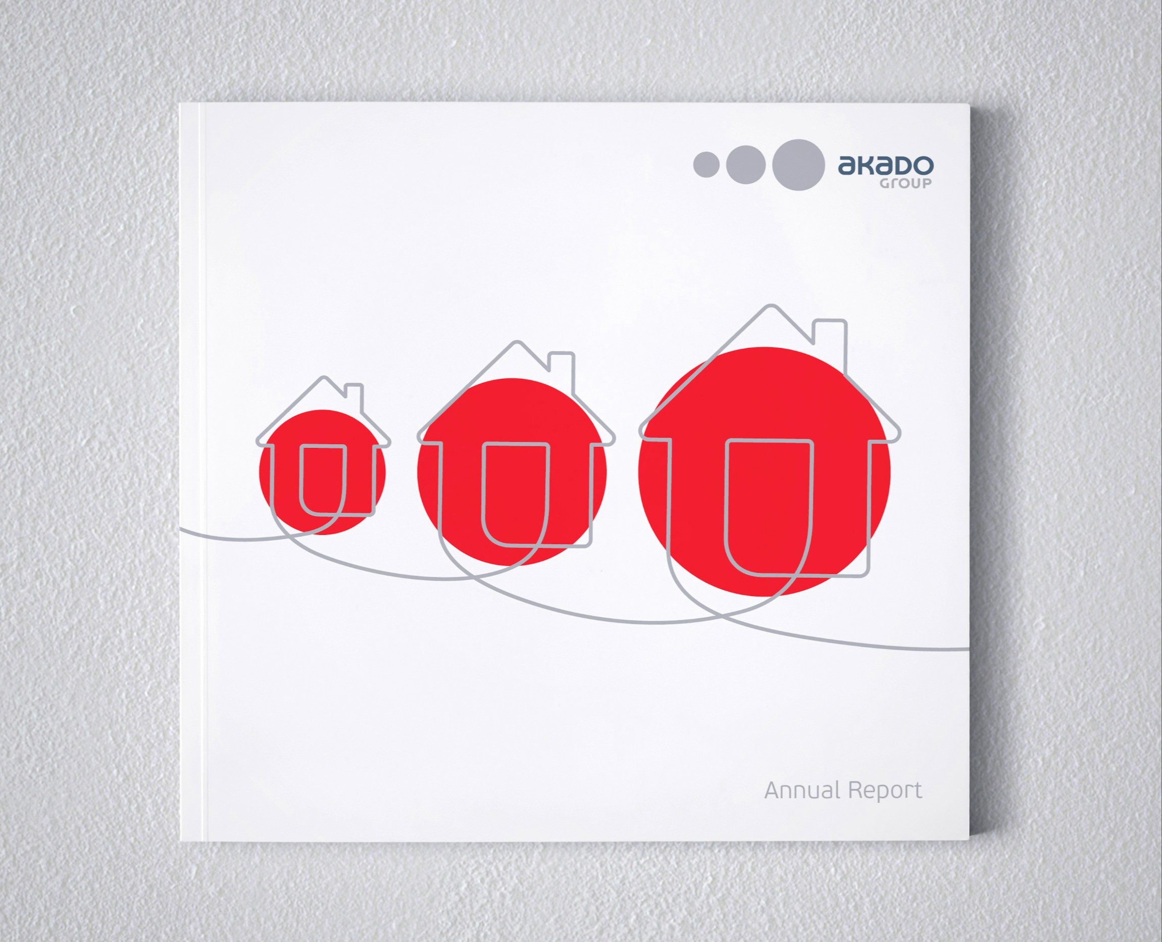 Годовой отчет Akado — Графика на Dprofile