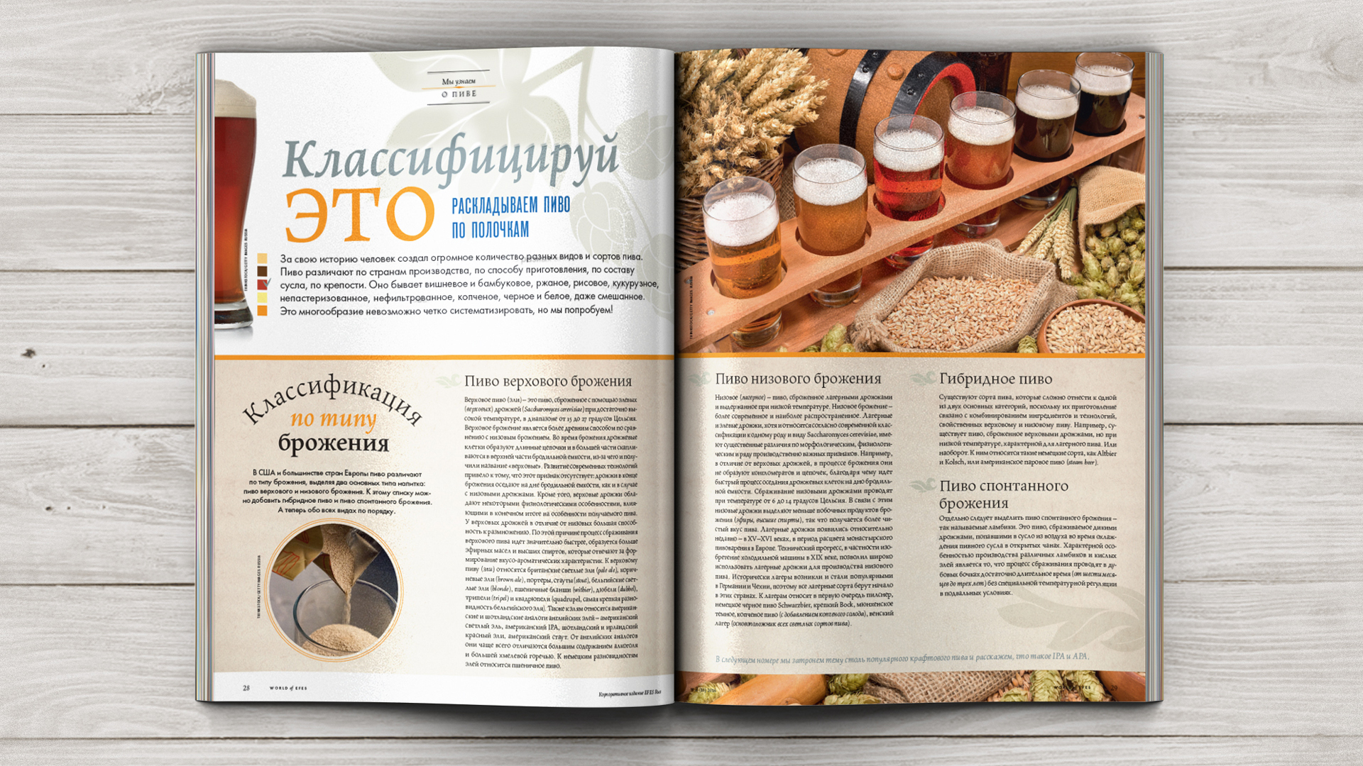 Корпоративный журнал Efes Rus — Изображение №7 — Графика на Dprofile