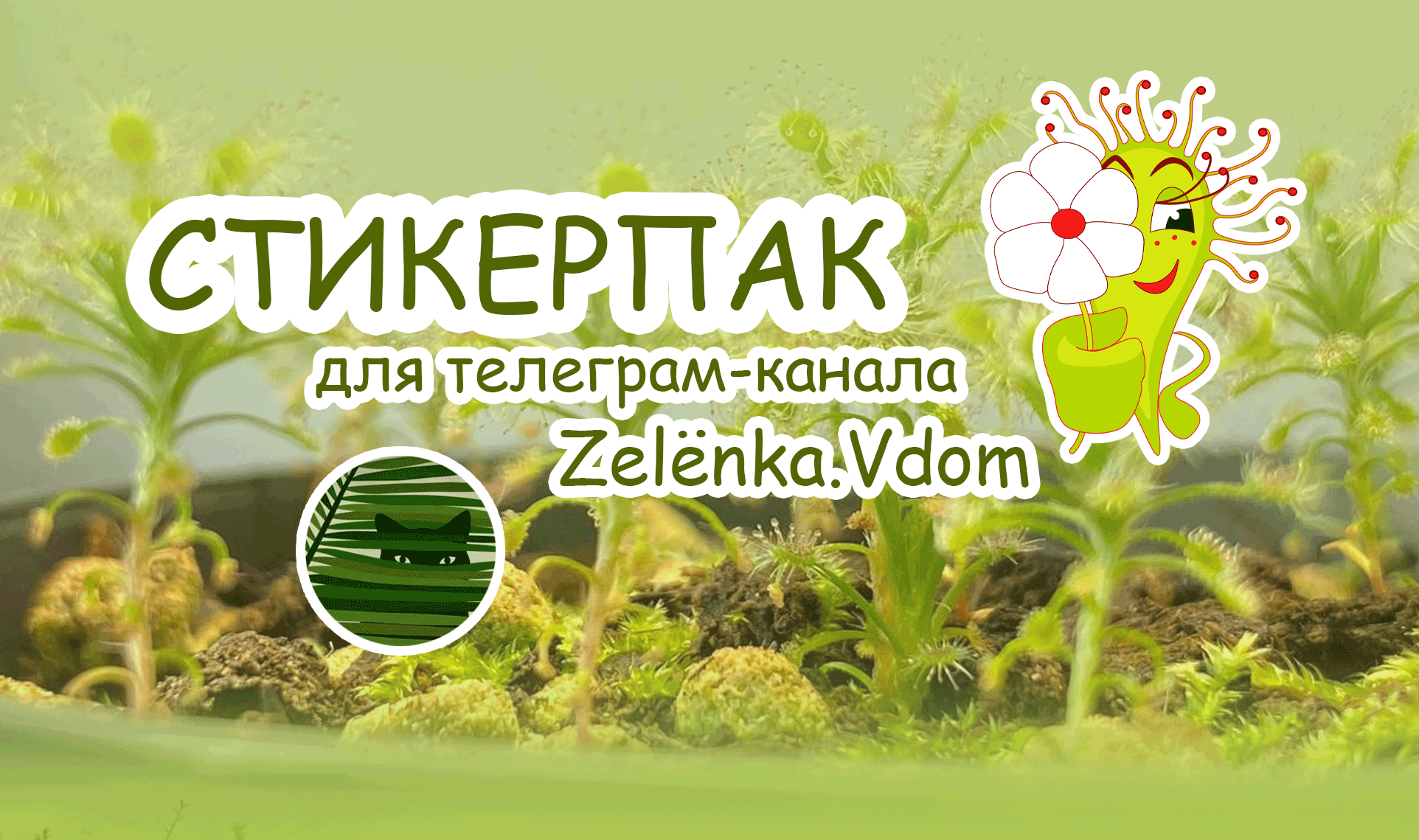 Стикерпак для Телеграм-канала — Изображение №1 — Иллюстрация, Графика на Dprofile
