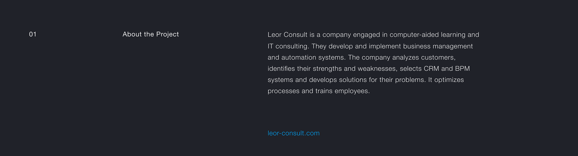LEOR Consult — Изображение №3 — Интерфейсы, Иллюстрация на Dprofile