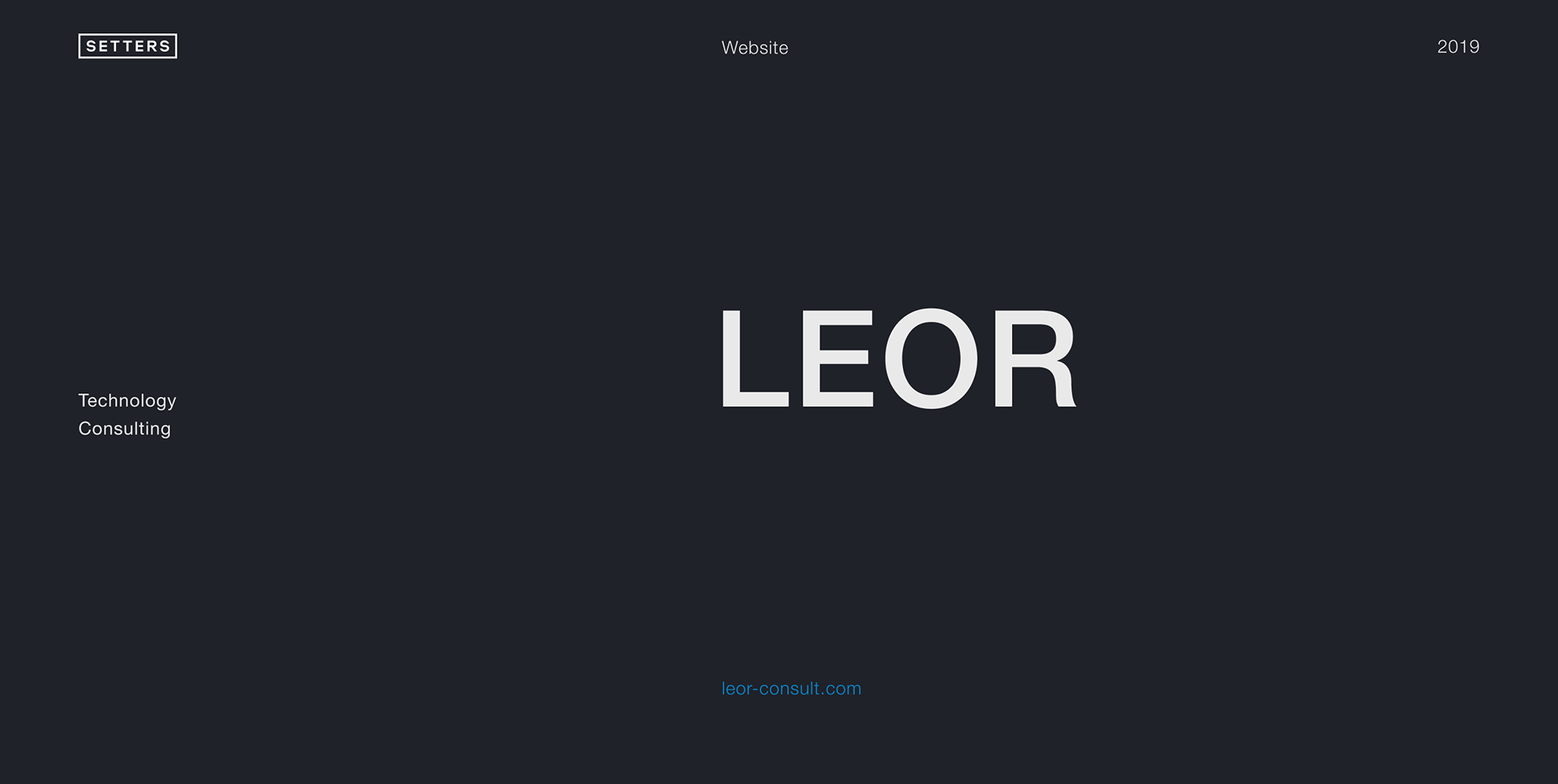 LEOR Consult — Изображение №1 — Интерфейсы, Иллюстрация на Dprofile