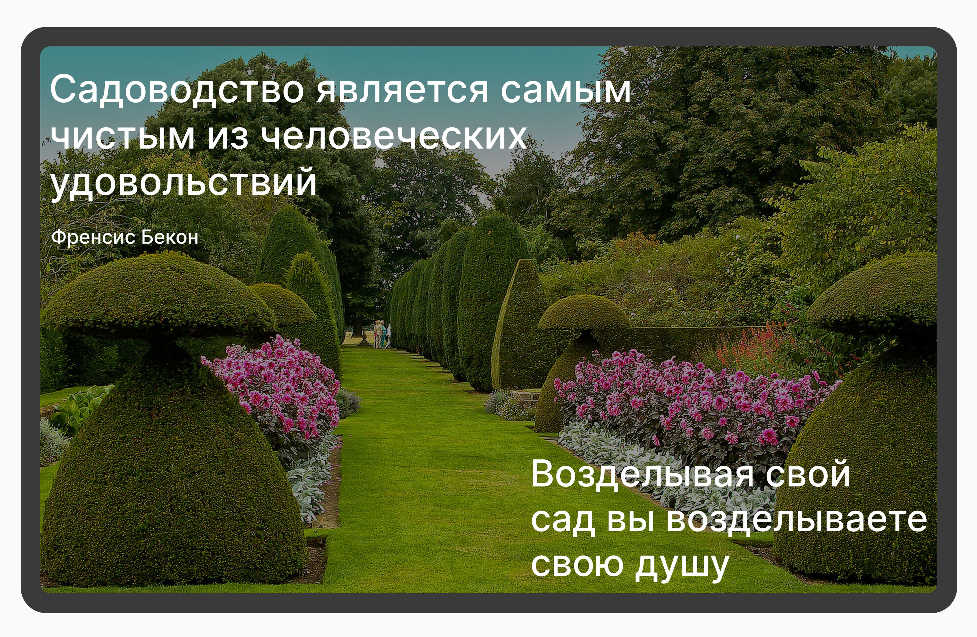 Website for garden center — Изображение №4 — Интерфейсы на Dprofile